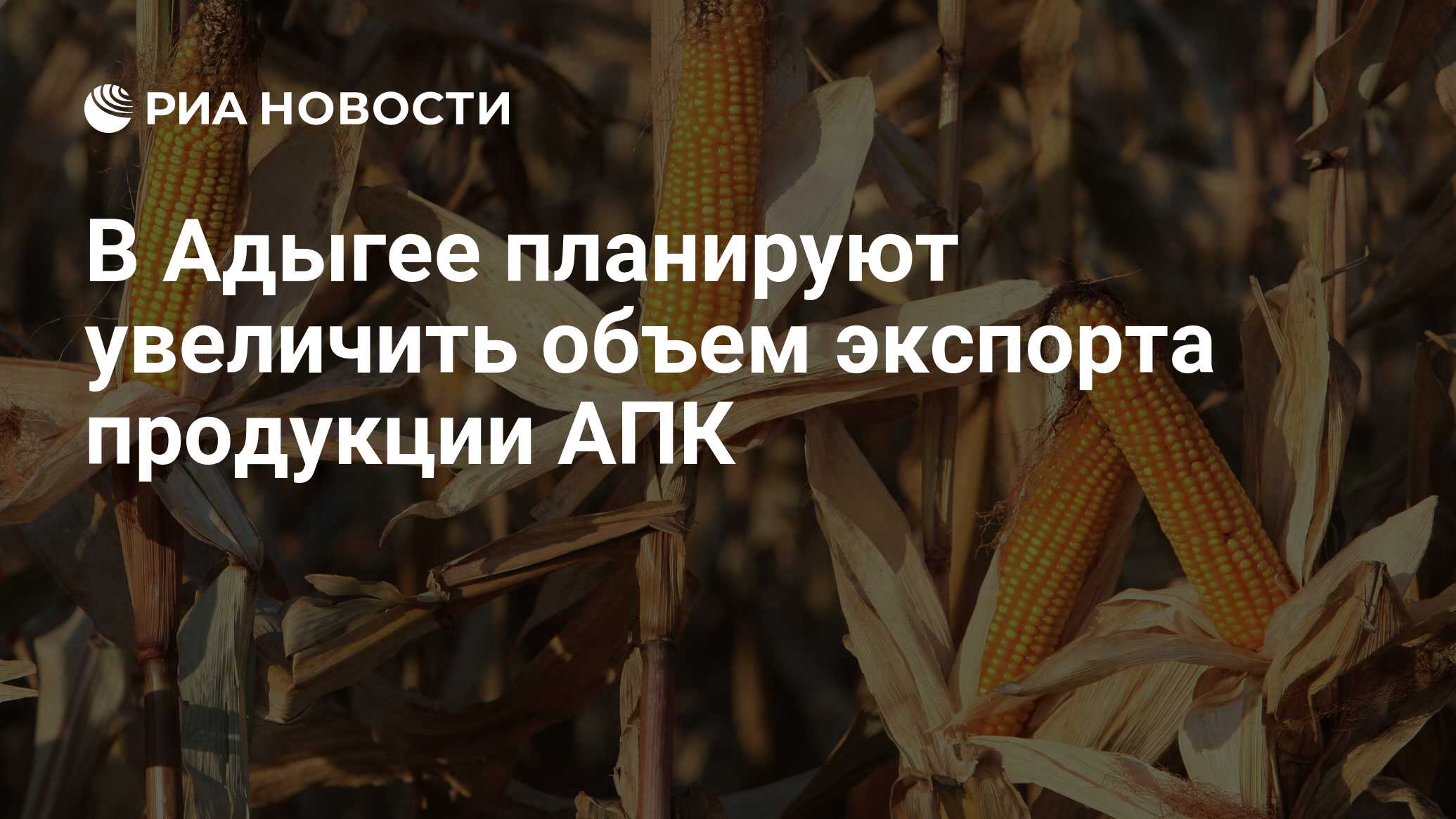 Региональный проект экспорт продукции апк