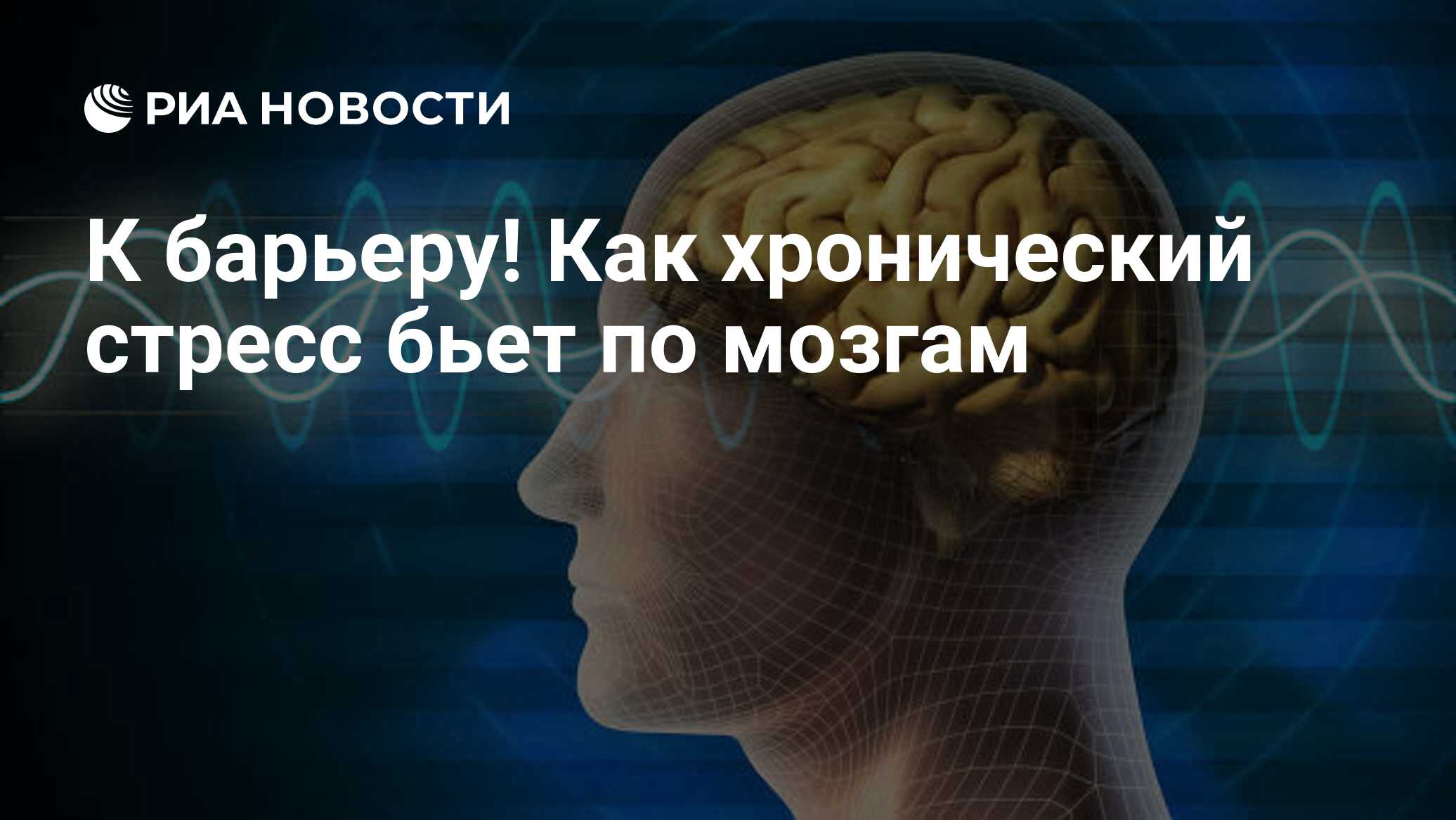 К барьеру! Как хронический стресс бьет по мозгам - РИА Новости, 17.03.2020