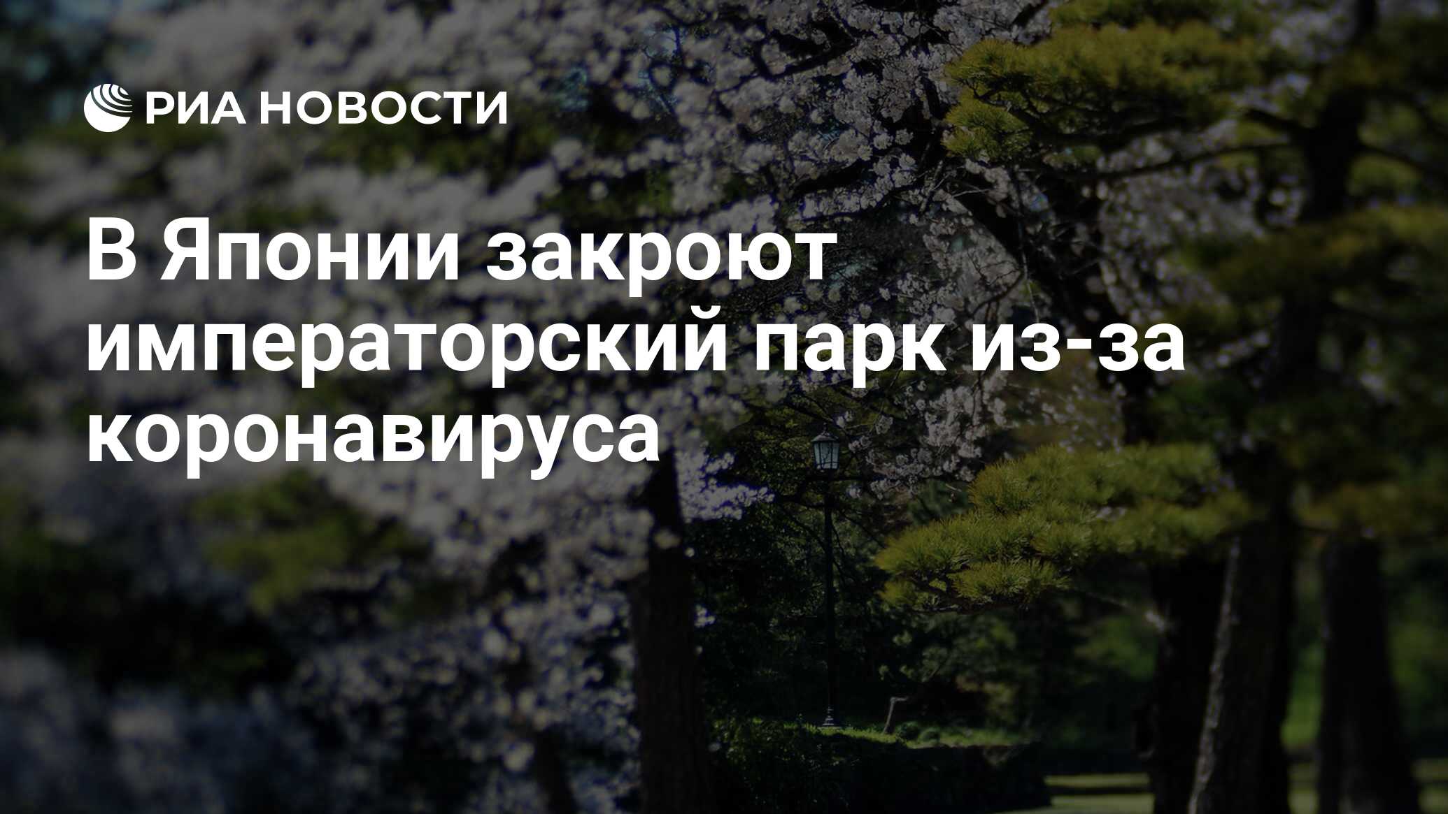 feature-image