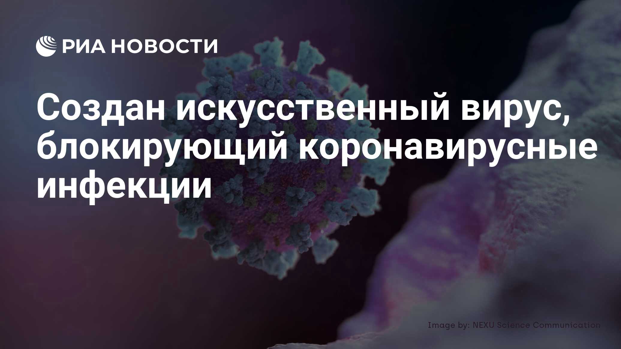 Создан искусственный вирус, блокирующий коронавирусные инфекции - РИА  Новости, 08.04.2020