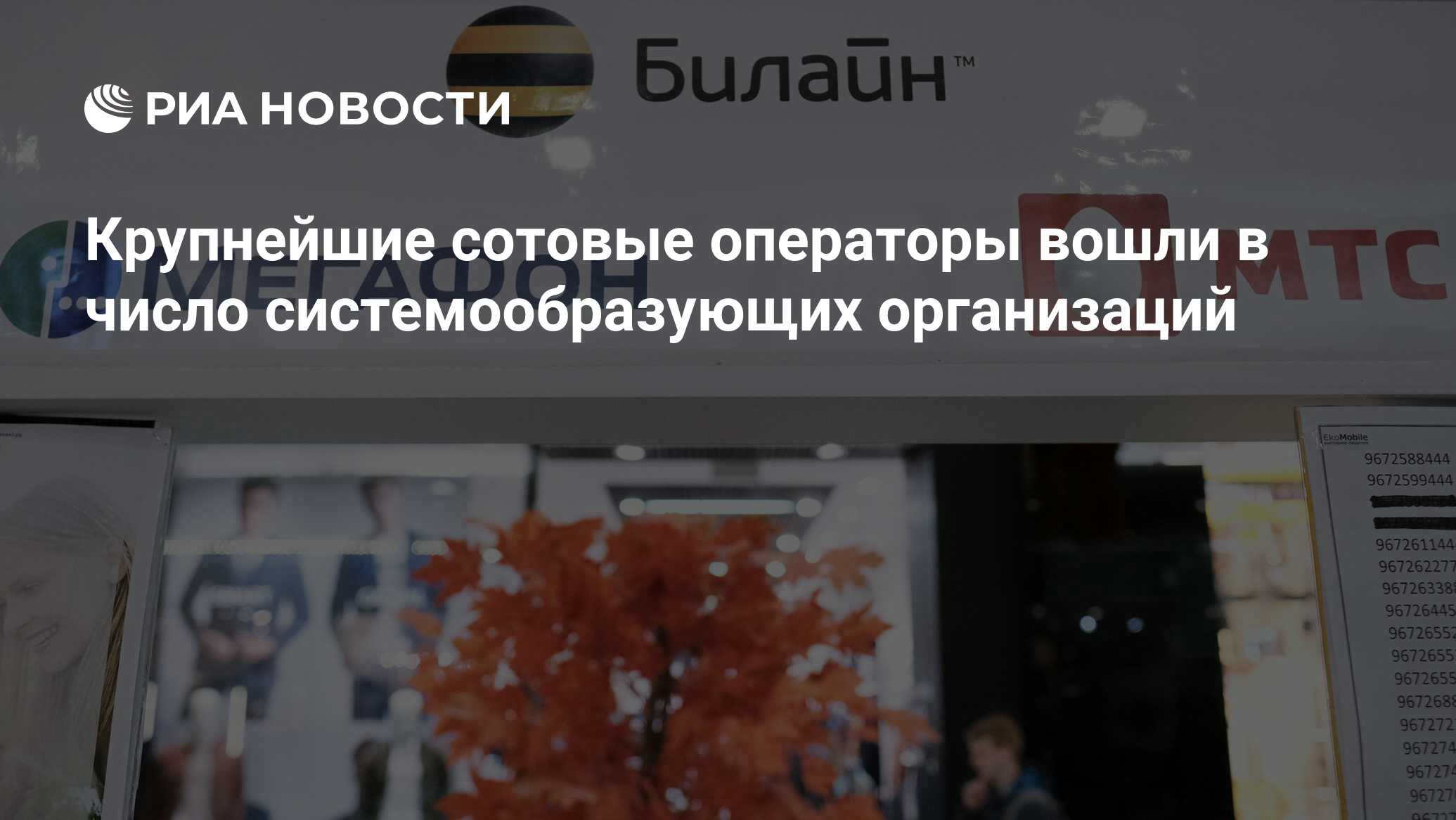 Крупные российские операторы. Крупные Сотовые операторы в России список. Крупнейшие Сотовые операторы на 2023 год в Нижнем Новгороде.