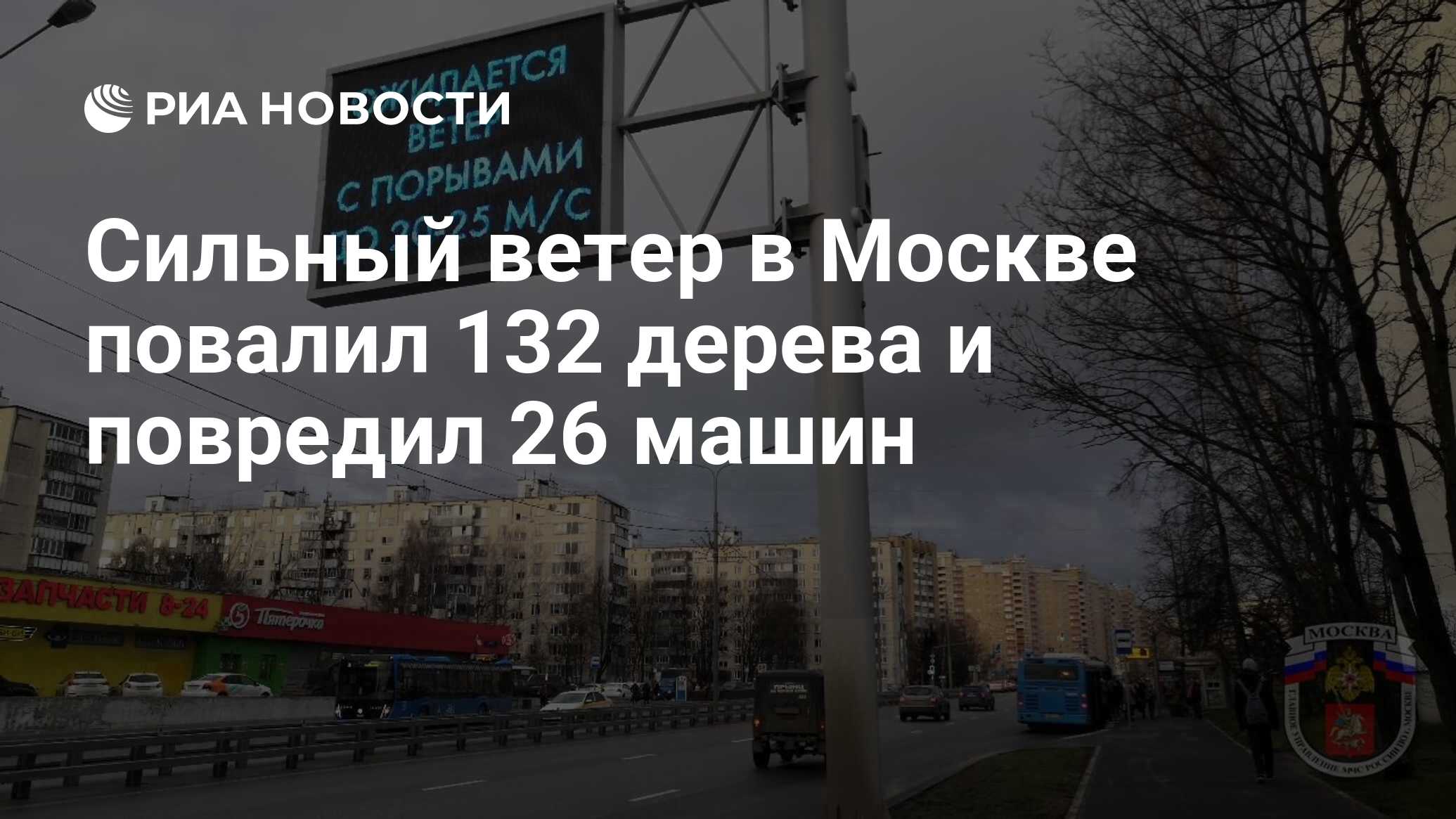 Сильный ветер в Москве повалил 132 дерева и повредил 26 машин - РИА  Новости, 22.04.2020