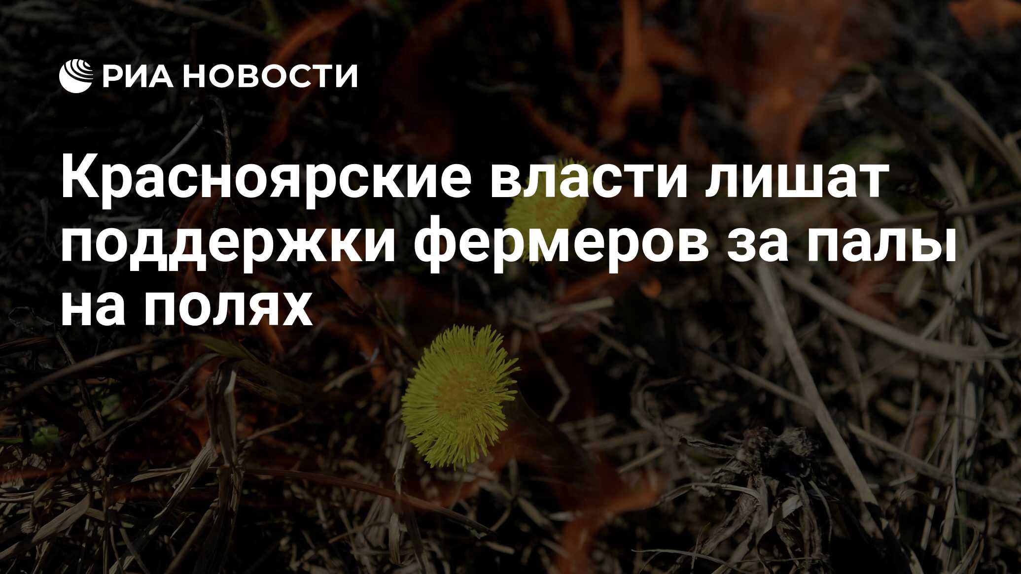 лишенный поддержки. единая россия. покинуть приднестровье. лишенный поддержки. провал контрнаступления украины.