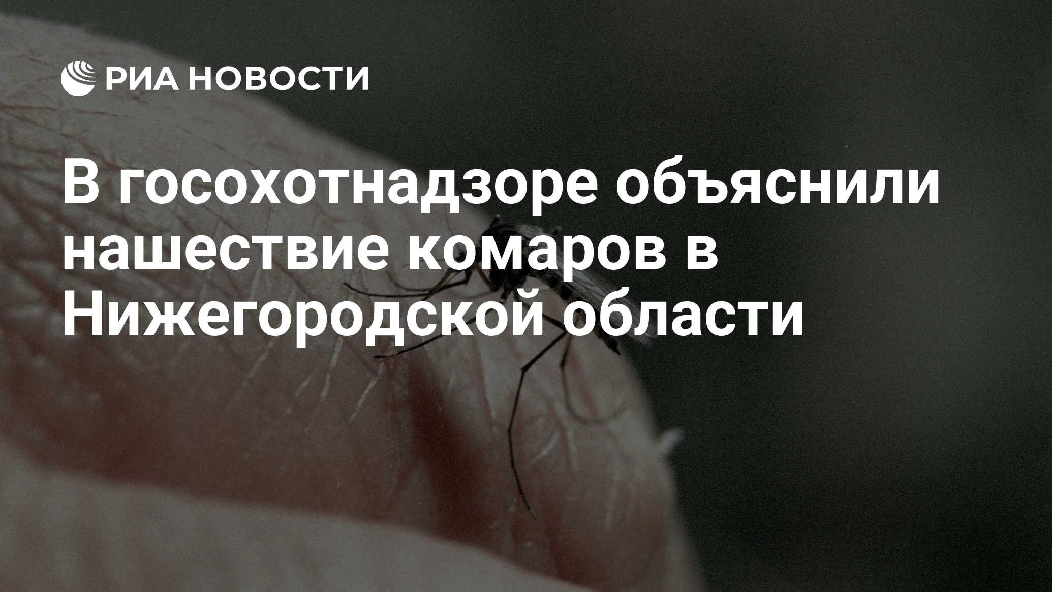 В госохотнадзоре объяснили нашествие комаров в Нижегородской области - РИА  Новости, 26.06.2020