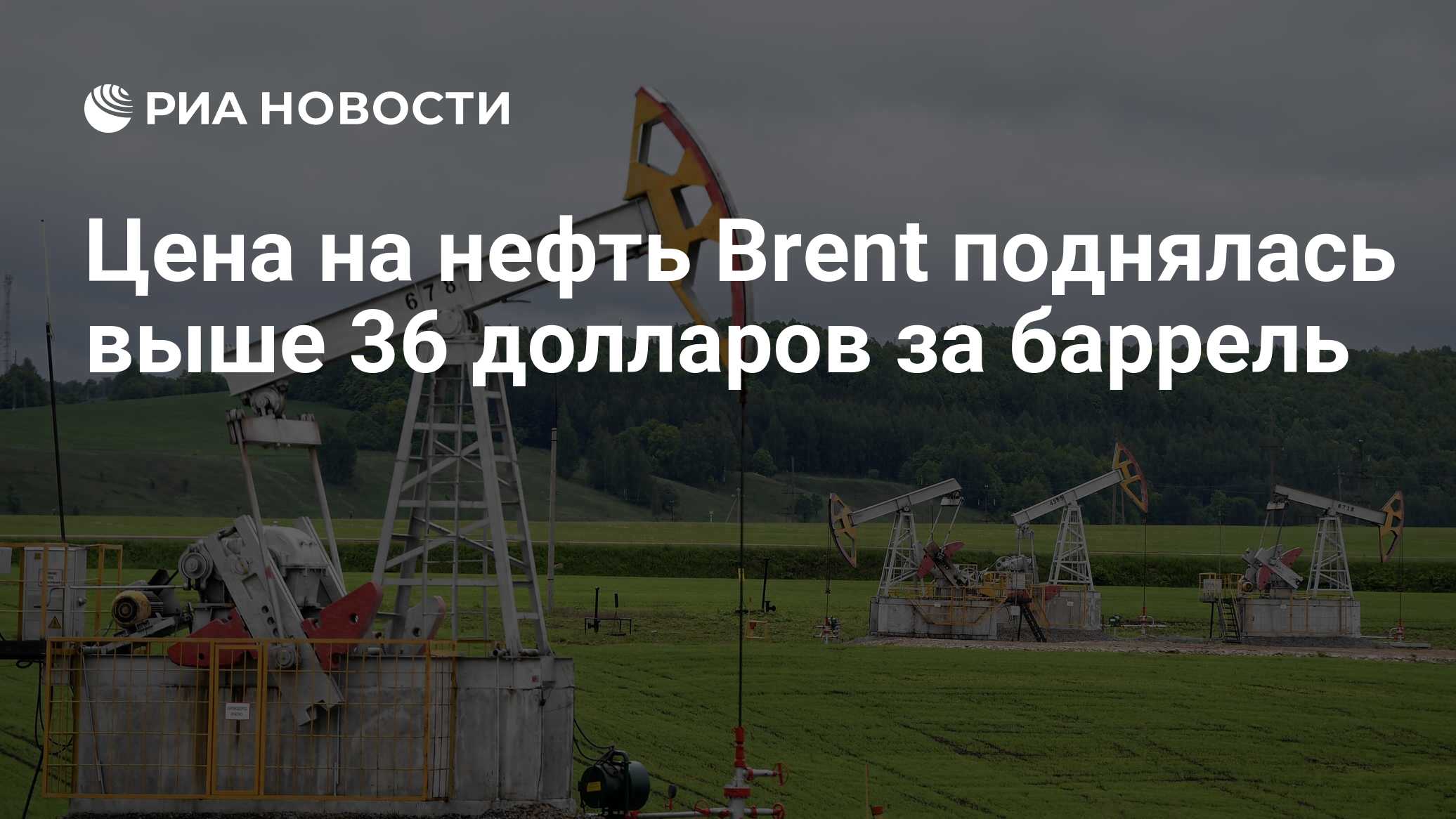 Нефть возобновляемая или нет. Нефть возобновляемый ресурс или нет.
