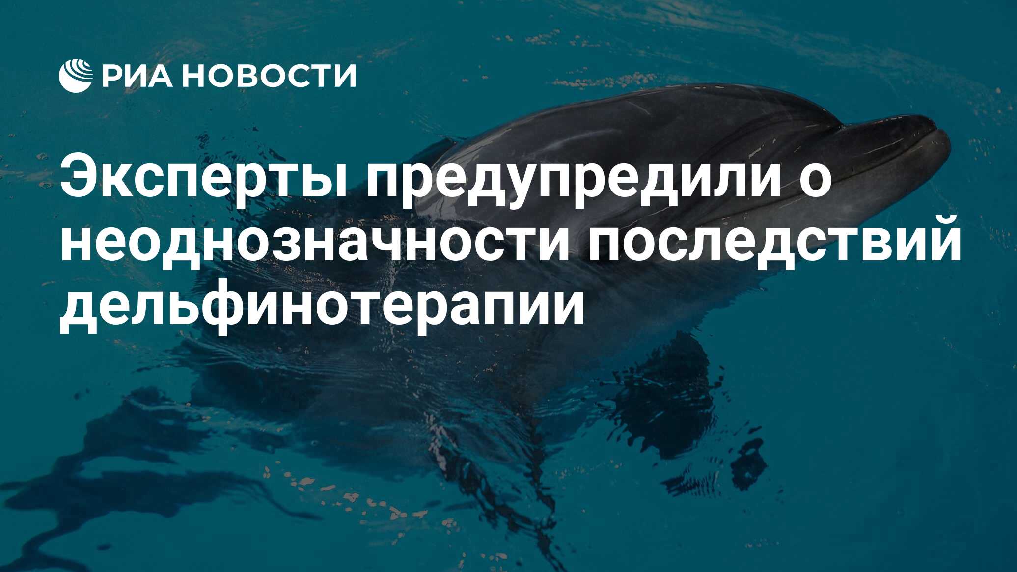 Эксперты предупредили о неоднозначности последствий дельфинотерапии - РИА  Новости, 29.05.2020