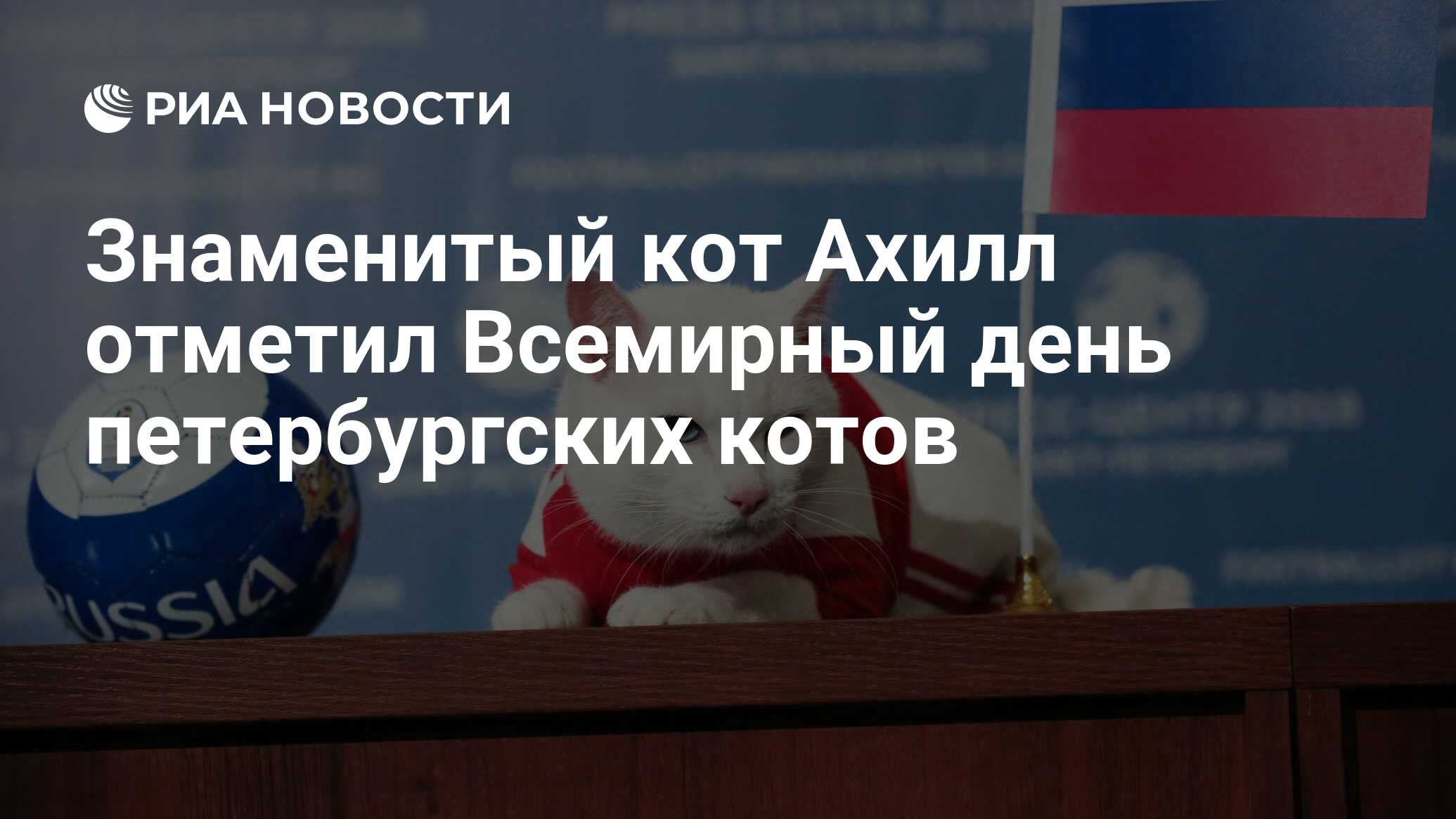 Знаменитый кот Ахилл отметил Всемирный день петербургских котов - РИА  Новости, 08.06.2020