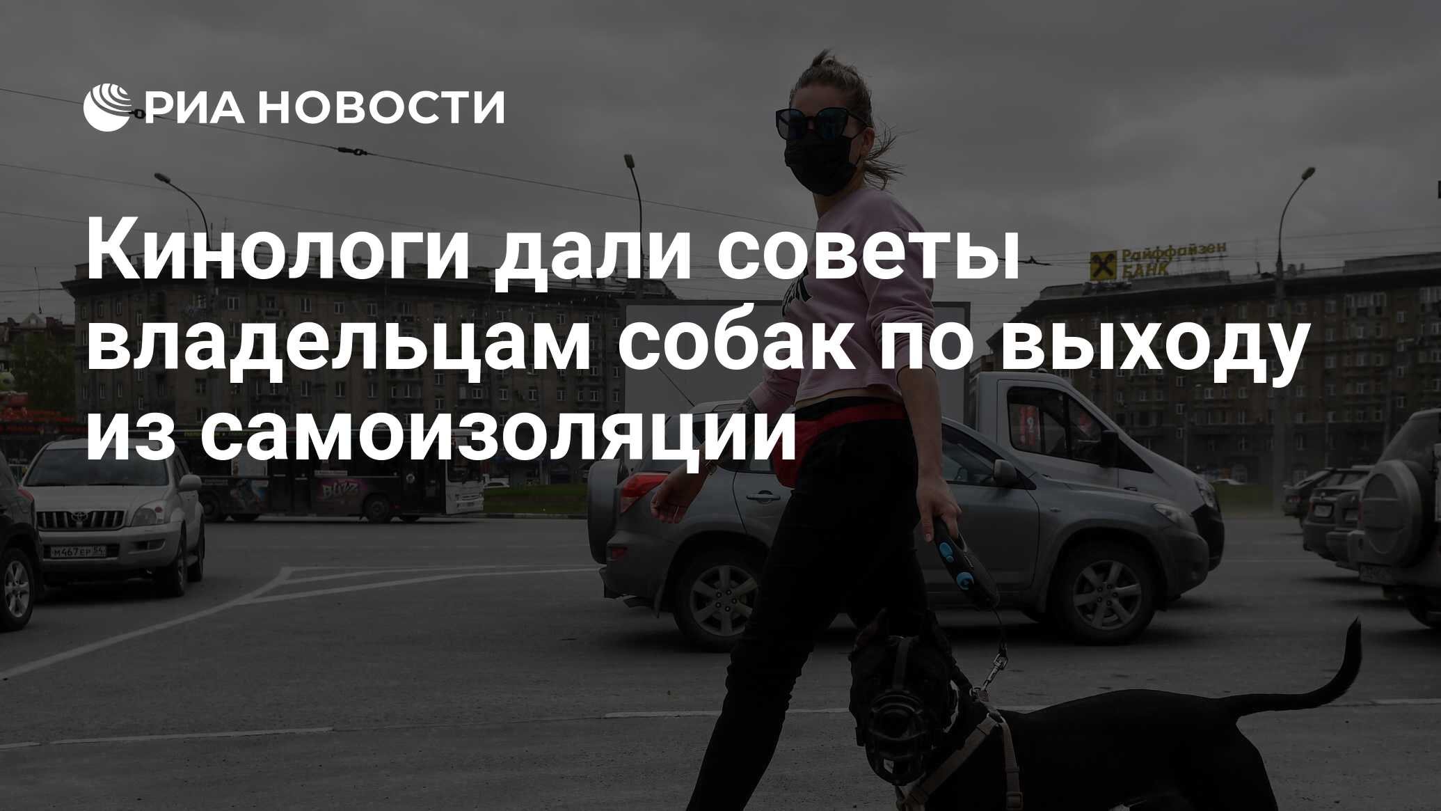 Кинологи дали советы владельцам собак по выходу из самоизоляции - РИА  Новости, 10.06.2020