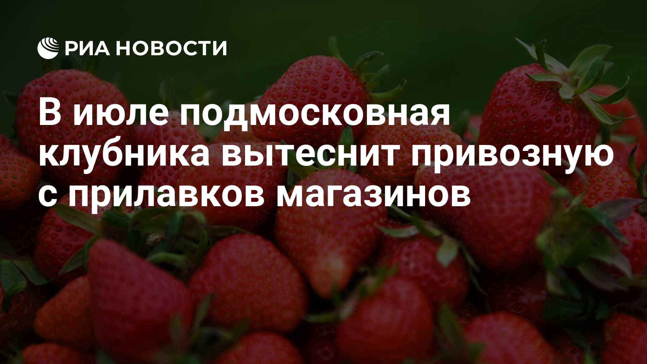 В июле подмосковная клубника вытеснит привозную с прилавков магазинов ...