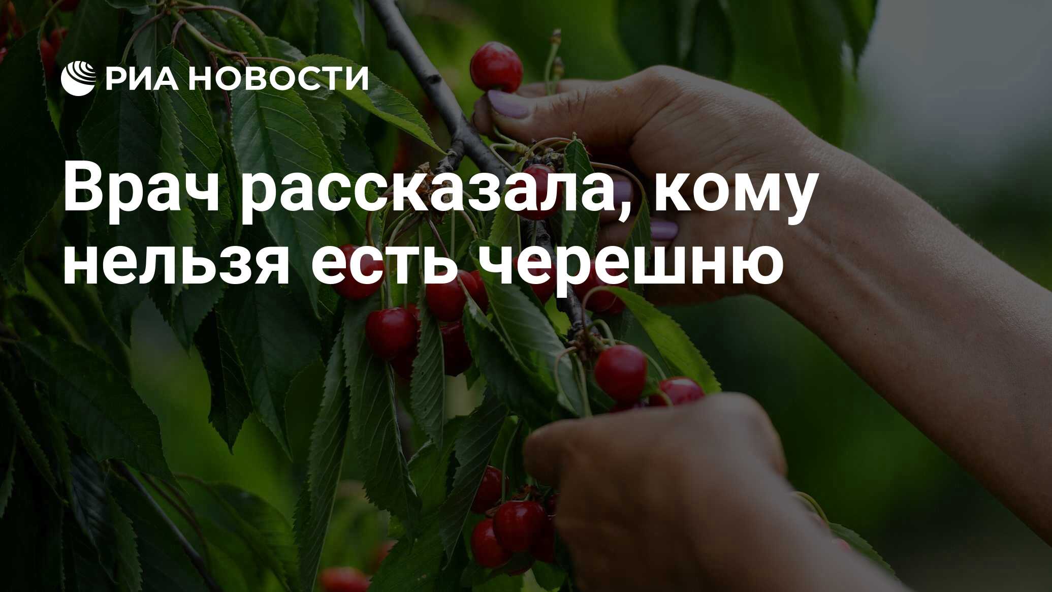 При диабете можно кушать черешню. При диабете можно кушать черешню