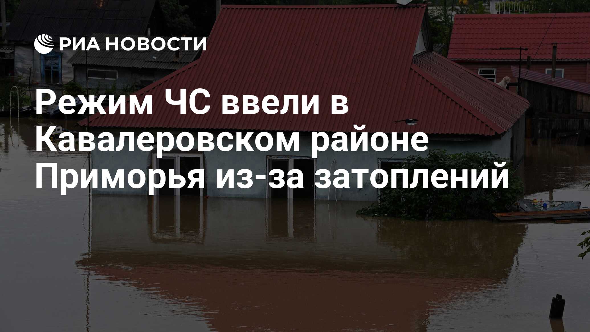 Режим ЧС ввели в Кавалеровском районе Приморья из-за затоплений - РИА  Новости, 27.06.2020