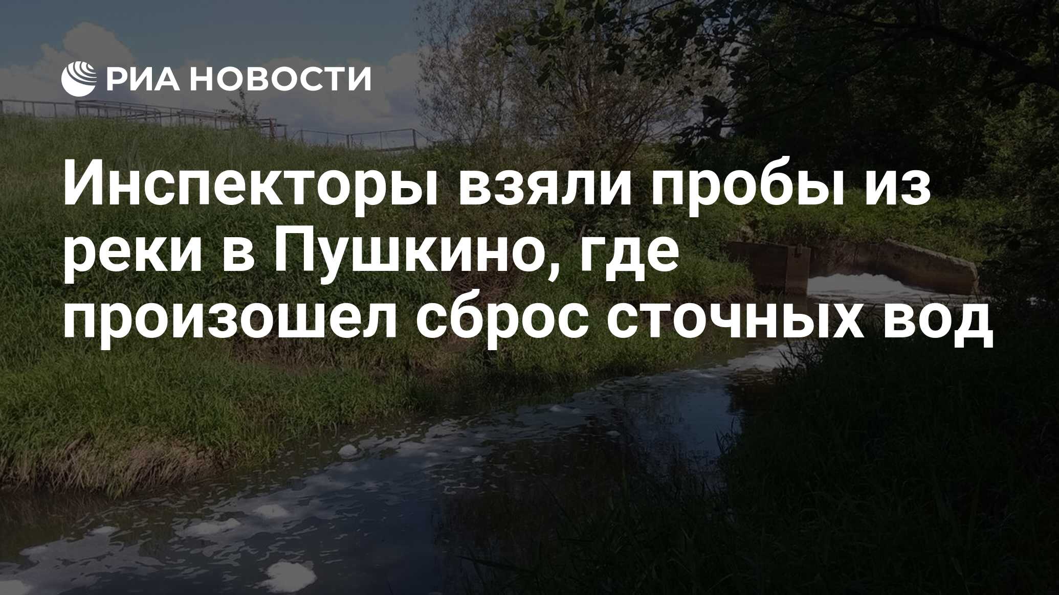 Инспекторы взяли пробы из реки в Пушкино, где произошел сброс сточных вод -  РИА Новости, 29.06.2020