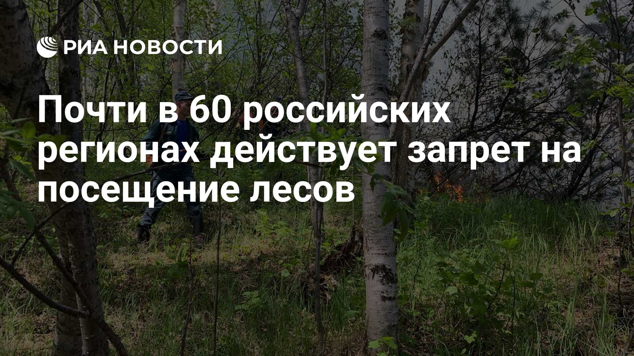 Карта мчс посещение лесов