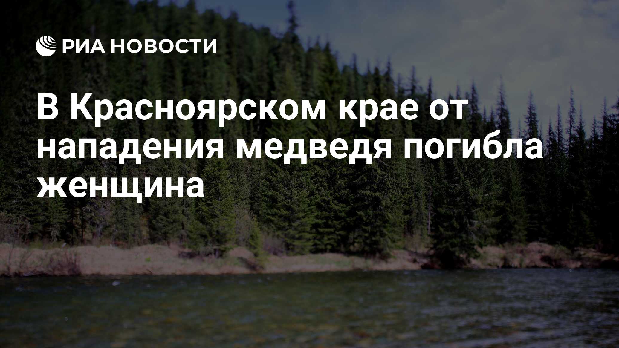 Край предлагать. Енисейский район п.Байкал. Енисейский медведь напал. Нападение медведя на женщину в Енисейском. В Енисейском районе медведь напал на женщину.