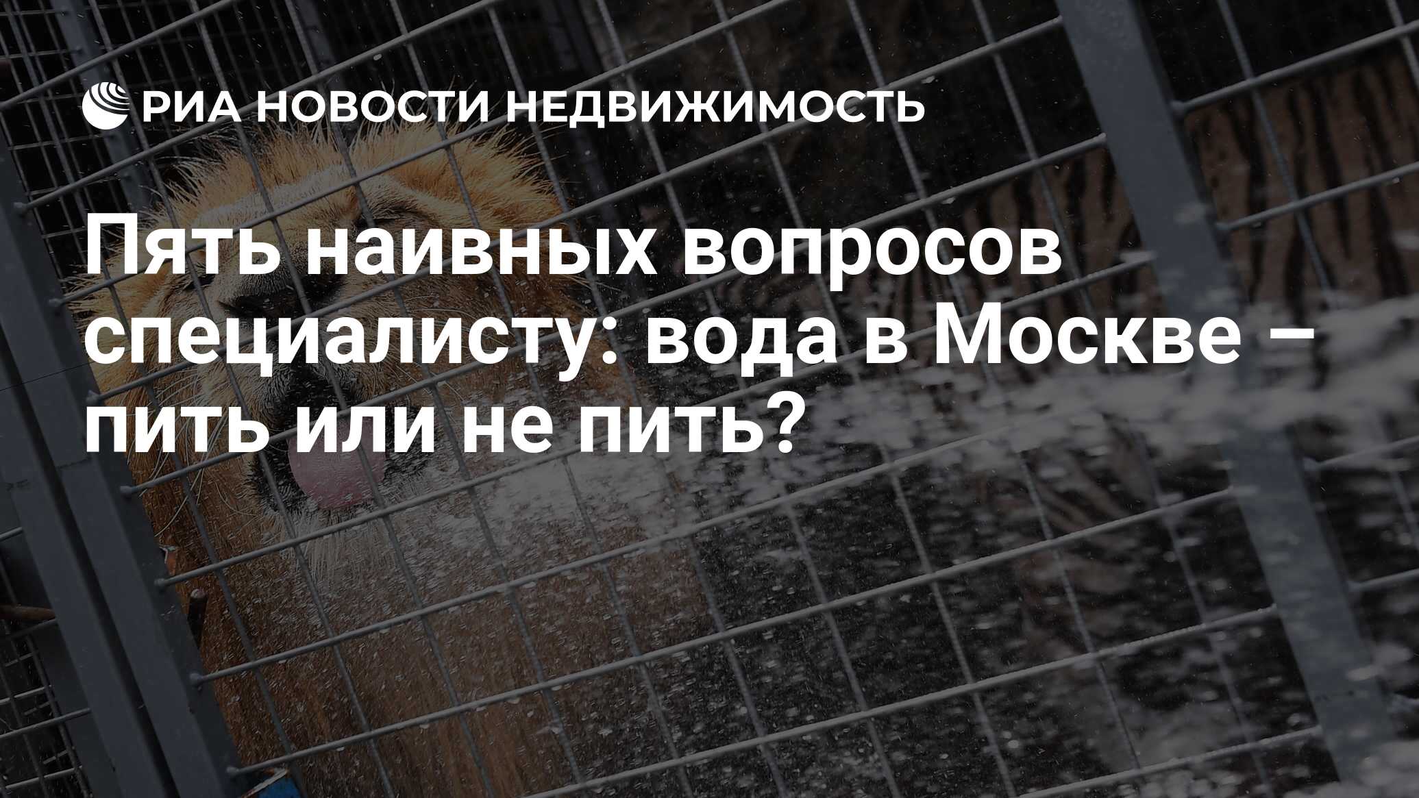 Пять наивных вопросов специалисту: вода в Москве – пить или не пить? -  Недвижимость РИА Новости, 15.07.2020