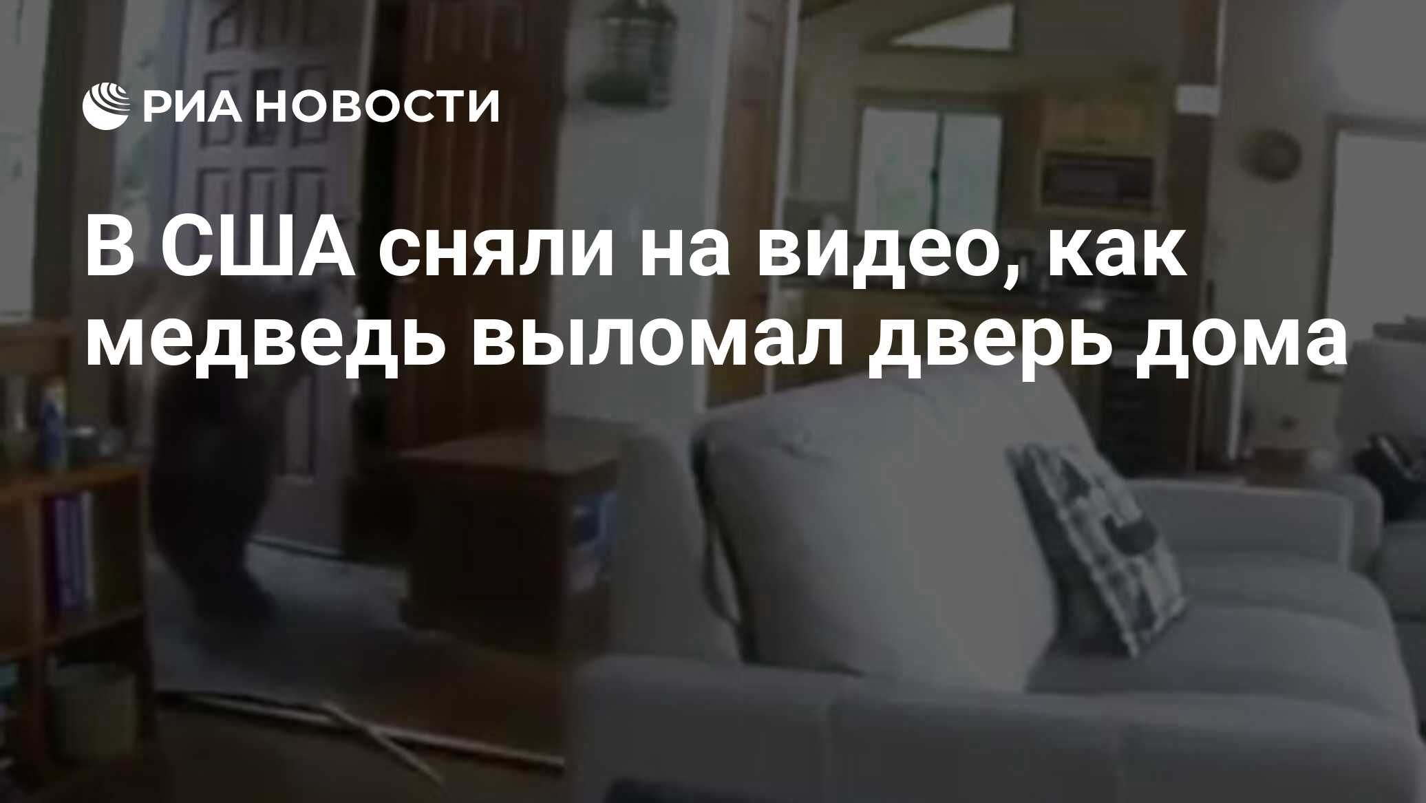 В США сняли на видео, как медведь выломал дверь дома - РИА Новости,  24.07.2020