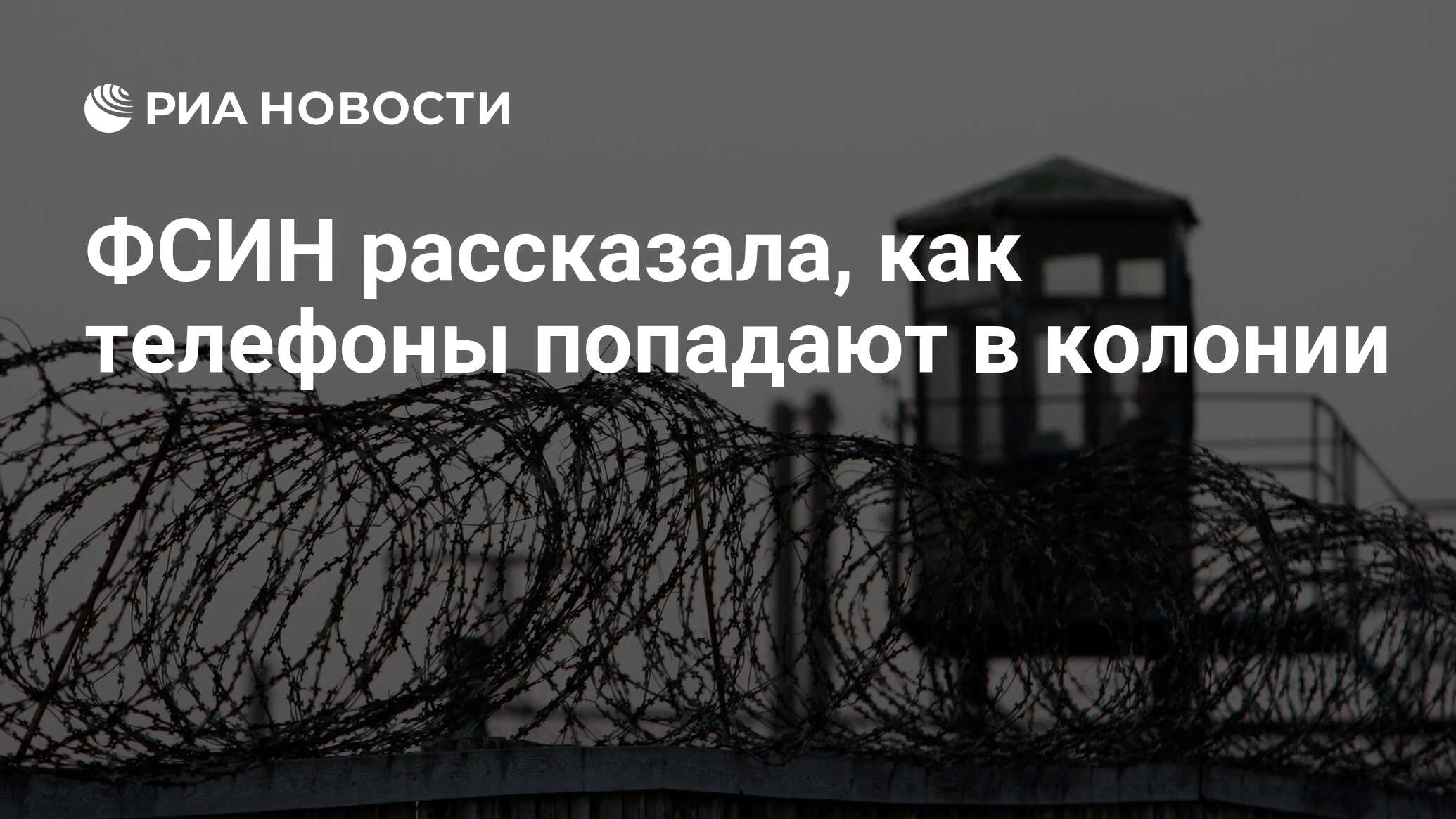 ФСИН рассказала, как телефоны попадают в колонии - РИА Новости, 24.07.2020