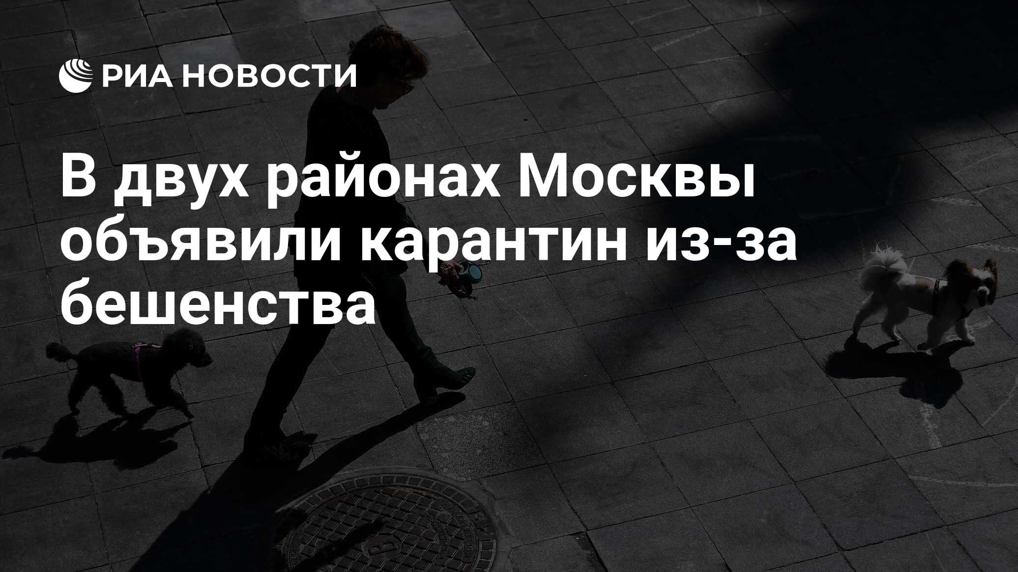 Дом жириновского в москве на нежинской. Карантин в школе. Закрыли на карантин. В москве объявили карантин. Карантин в москве.