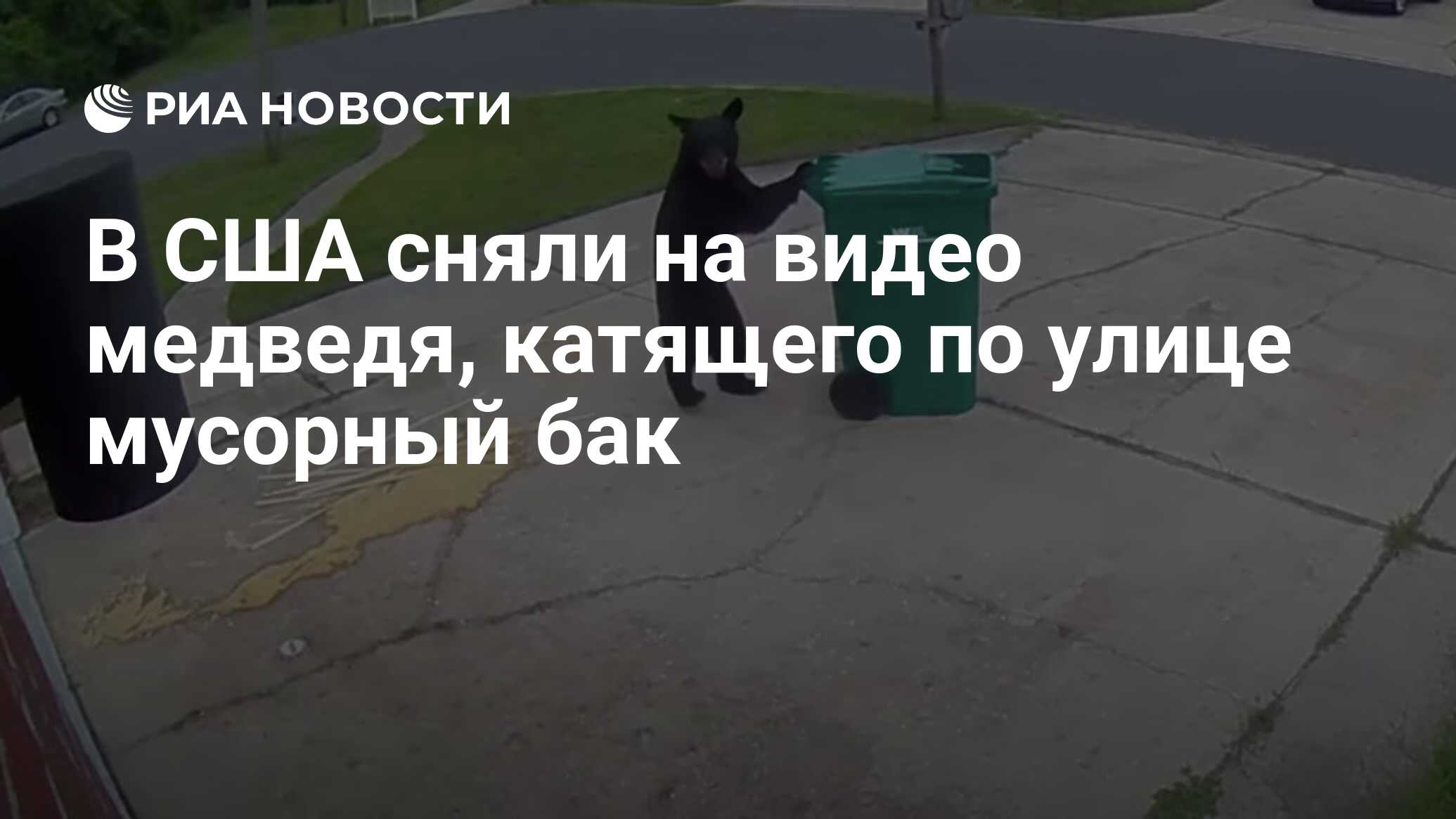 В США сняли на видео медведя, катящего по улице мусорный бак - РИА Новости,  01.08.2020