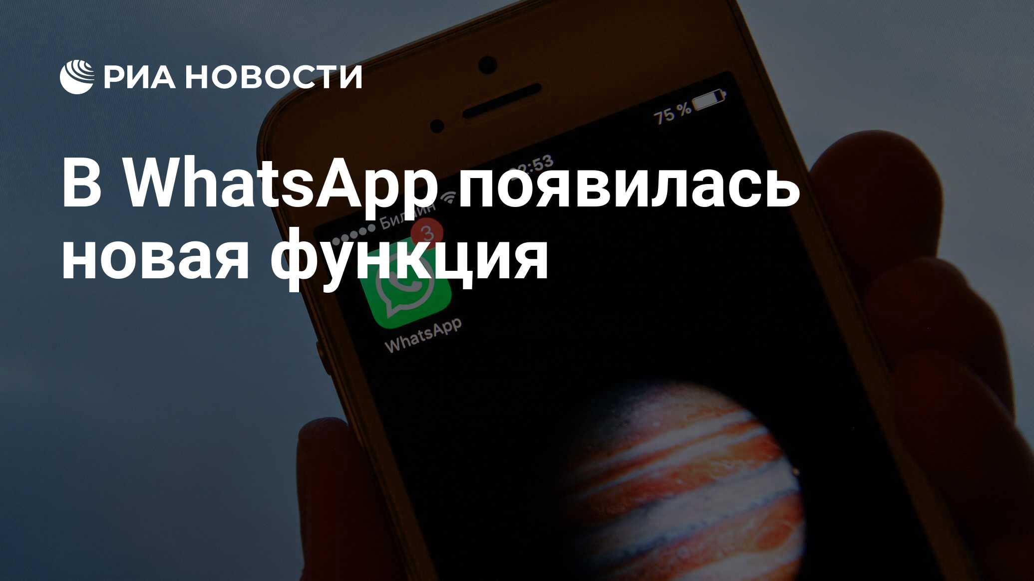 В WhatsApp появилась новая функция - РИА Новости, 04.08.2020