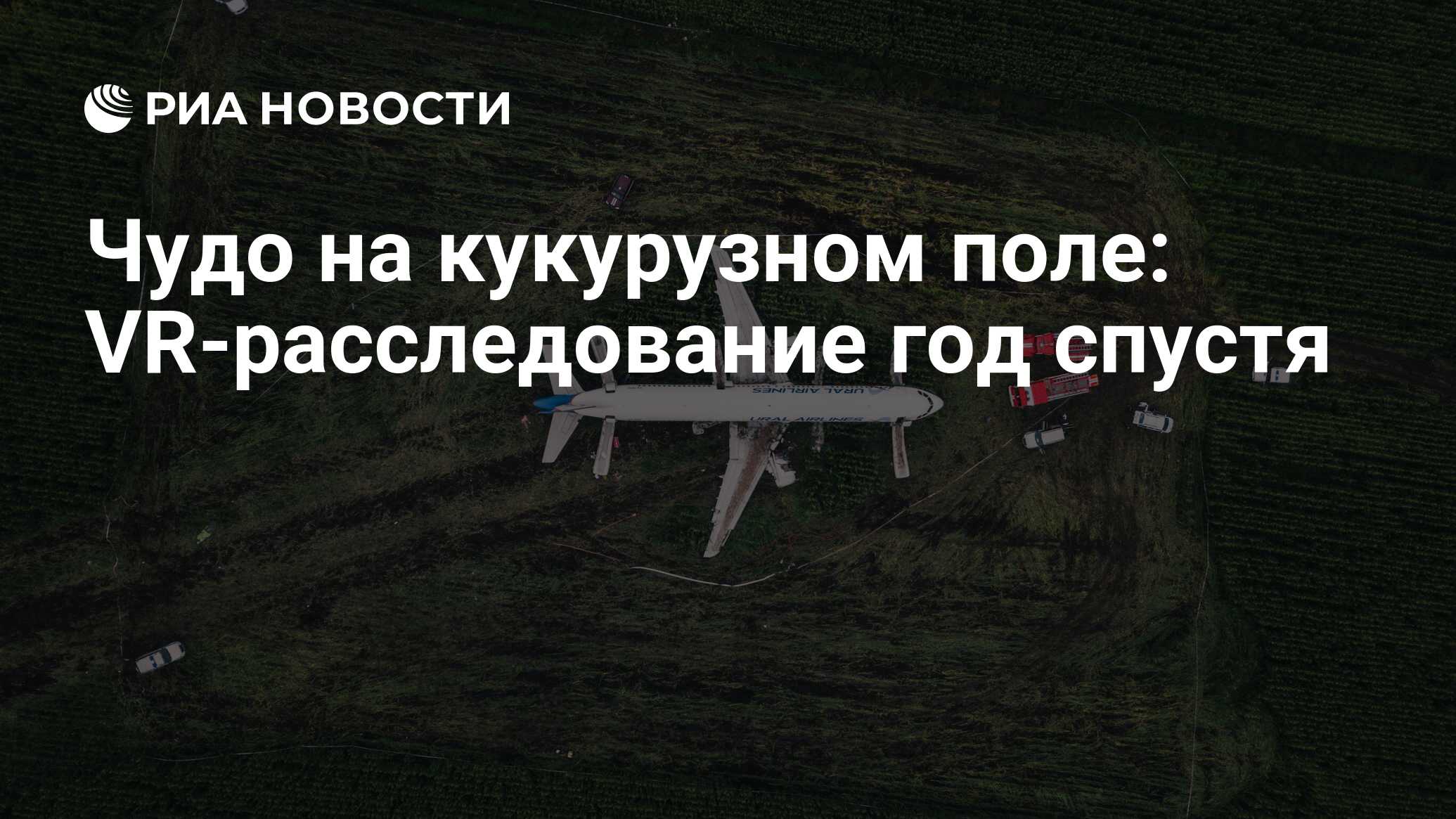 Вы на кукурузном поле вокруг зелень до самого горизонта солнце слепит вам глаза киберпанк