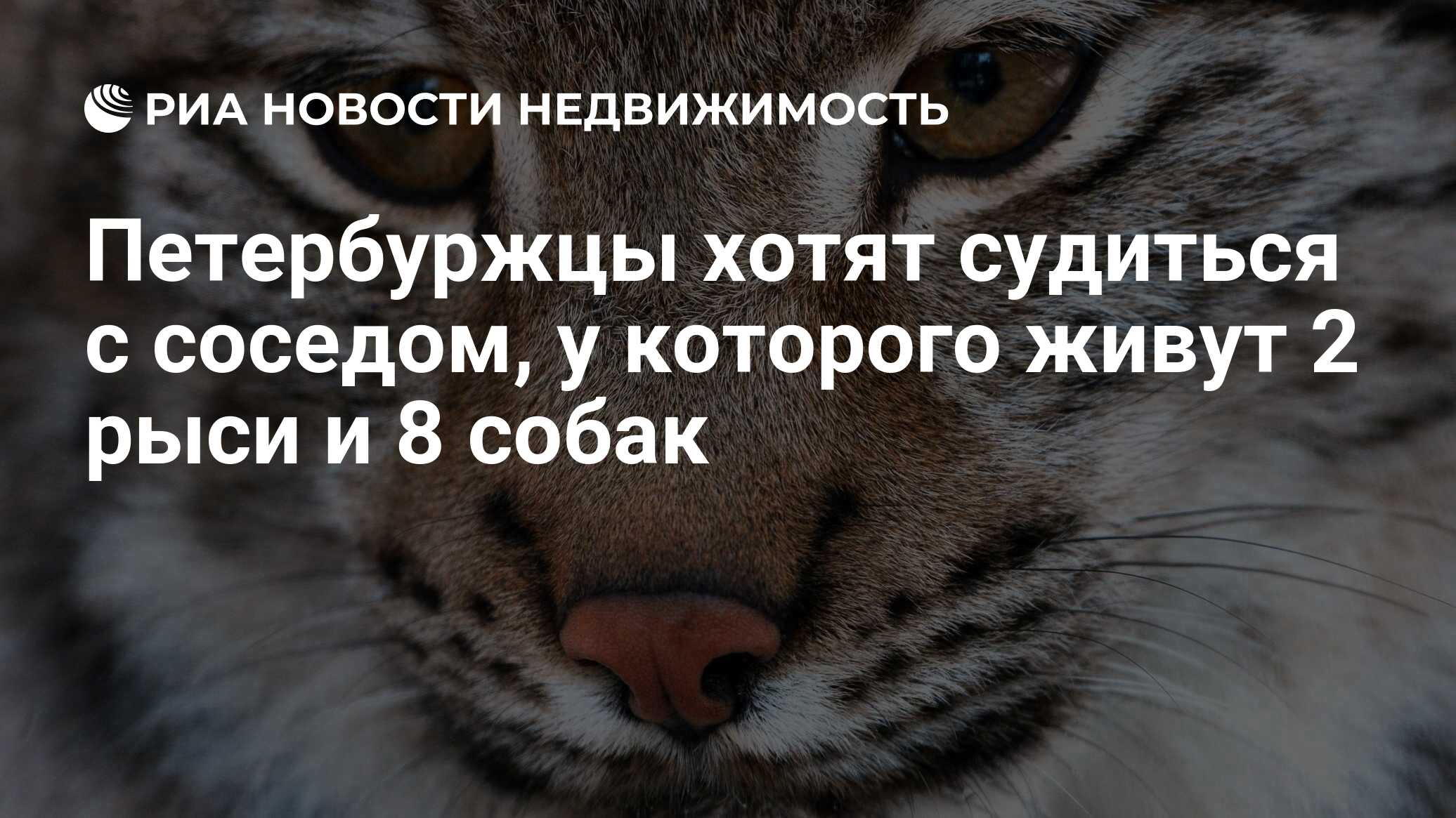 Петербуржцы хотят судиться с соседом, у которого живут 2 рыси и 8 собак -  Недвижимость РИА Новости, 19.08.2020