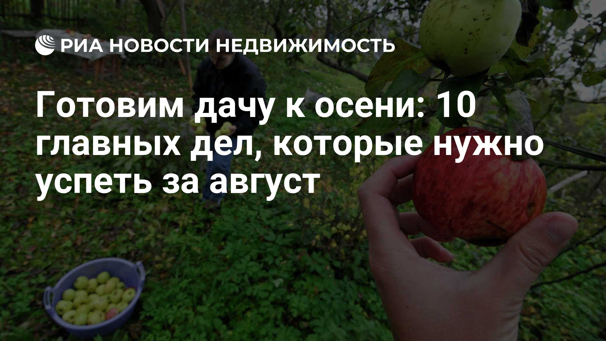 Готовим дачу к осени: 10 главных дел, которые нужно успеть за август -  Недвижимость РИА Новости, 20.08.2020