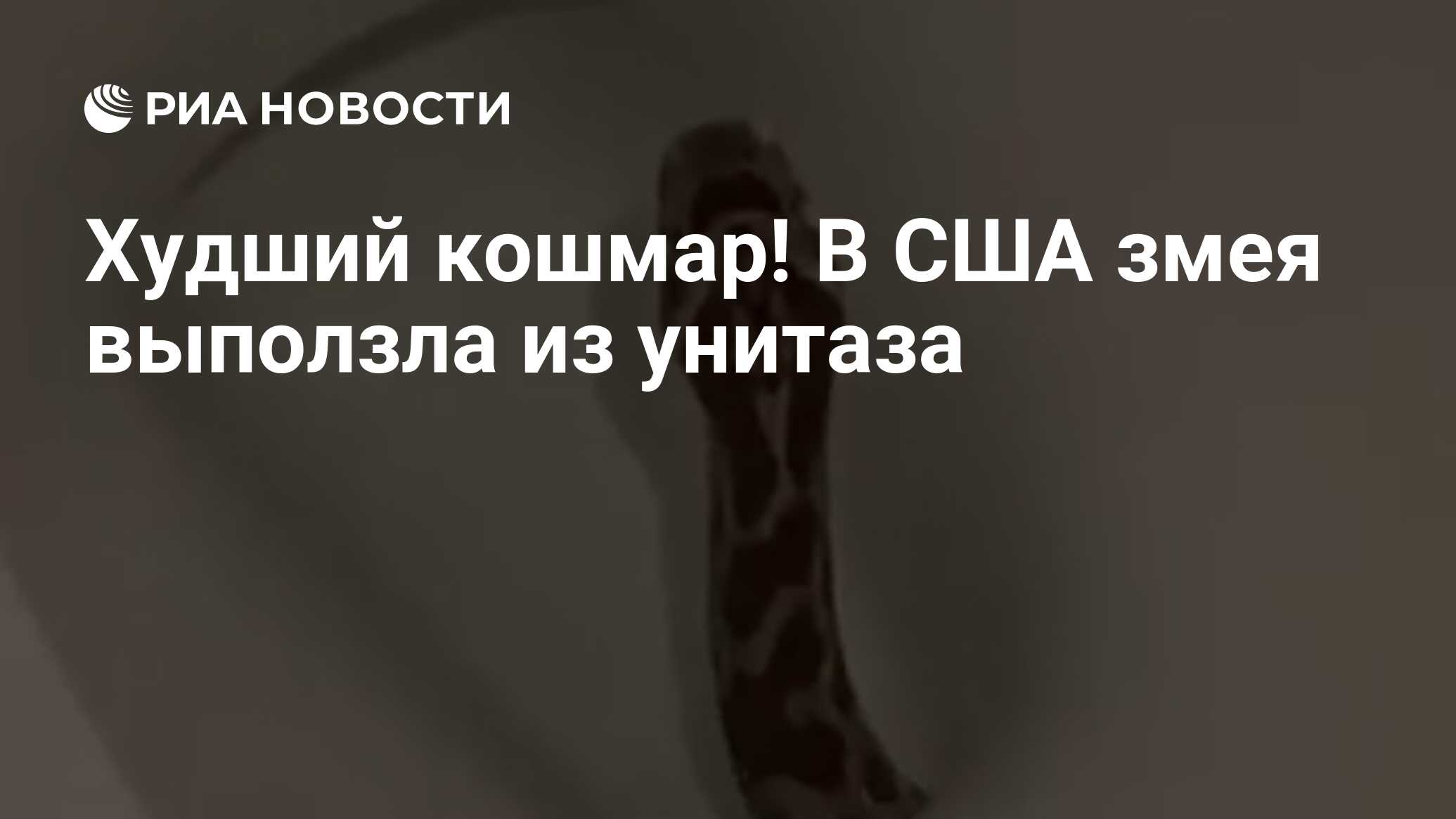 Худший кошмар! В США змея выползла из унитаза - РИА Новости, 20.08.2020