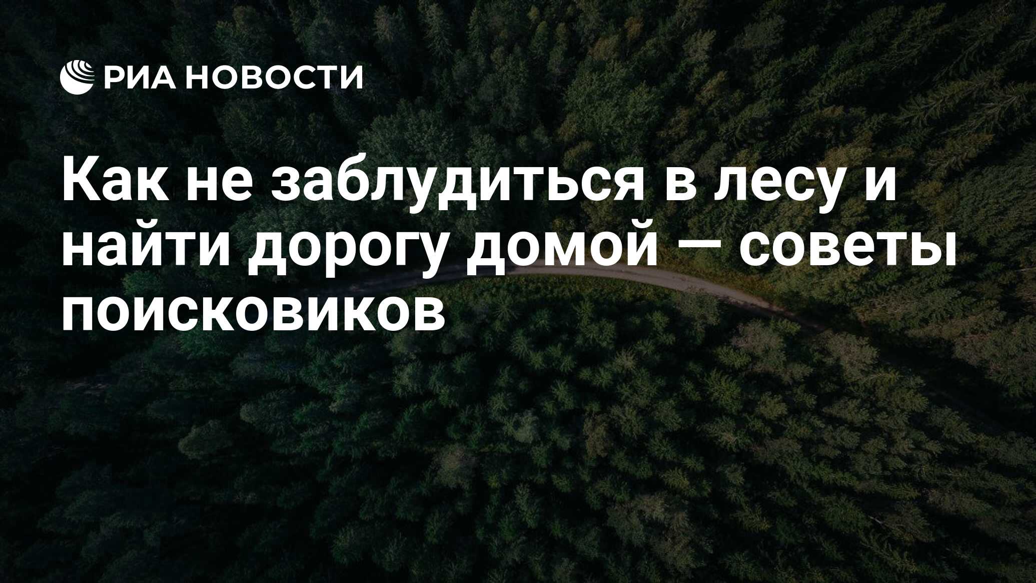 Как не заблудиться в лесу и найти дорогу домой — советы поисковиков - РИА  Новости, 22.08.2020