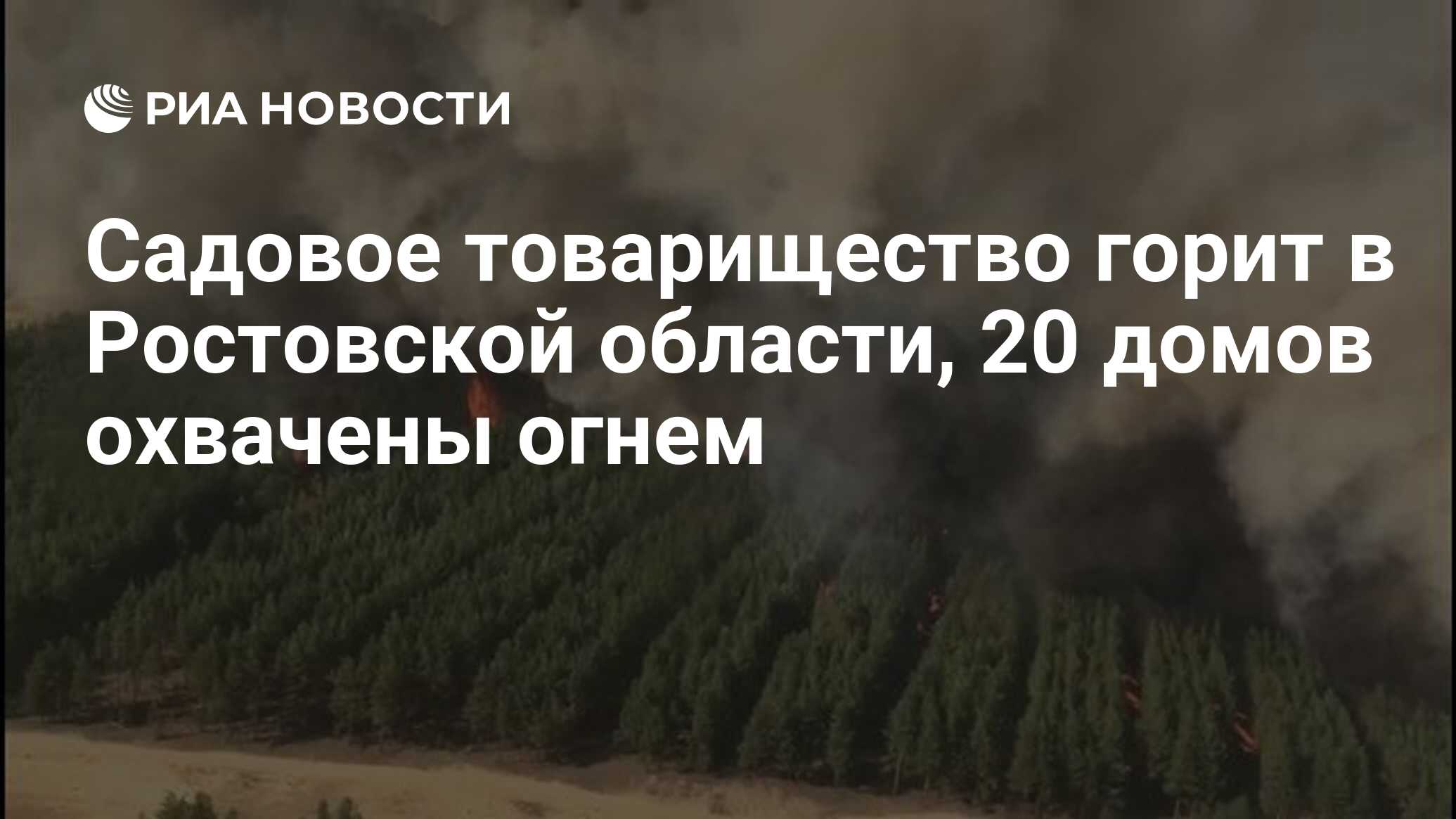 Садовое товарищество горит в Ростовской области, 20 домов охвачены огнем -  РИА Новости, 03.09.2020