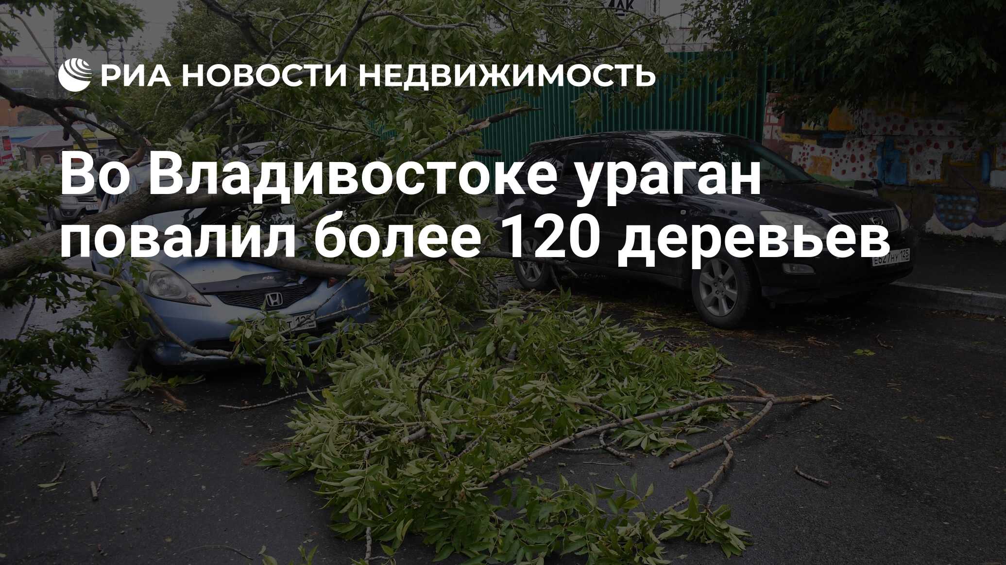 Русский медичи буря во владивостоке читать. Ураган во Владивостоке. Ураганный ветер жить на Взморье присутствовать. Ураган повалил дерево на машину это событие или действие.