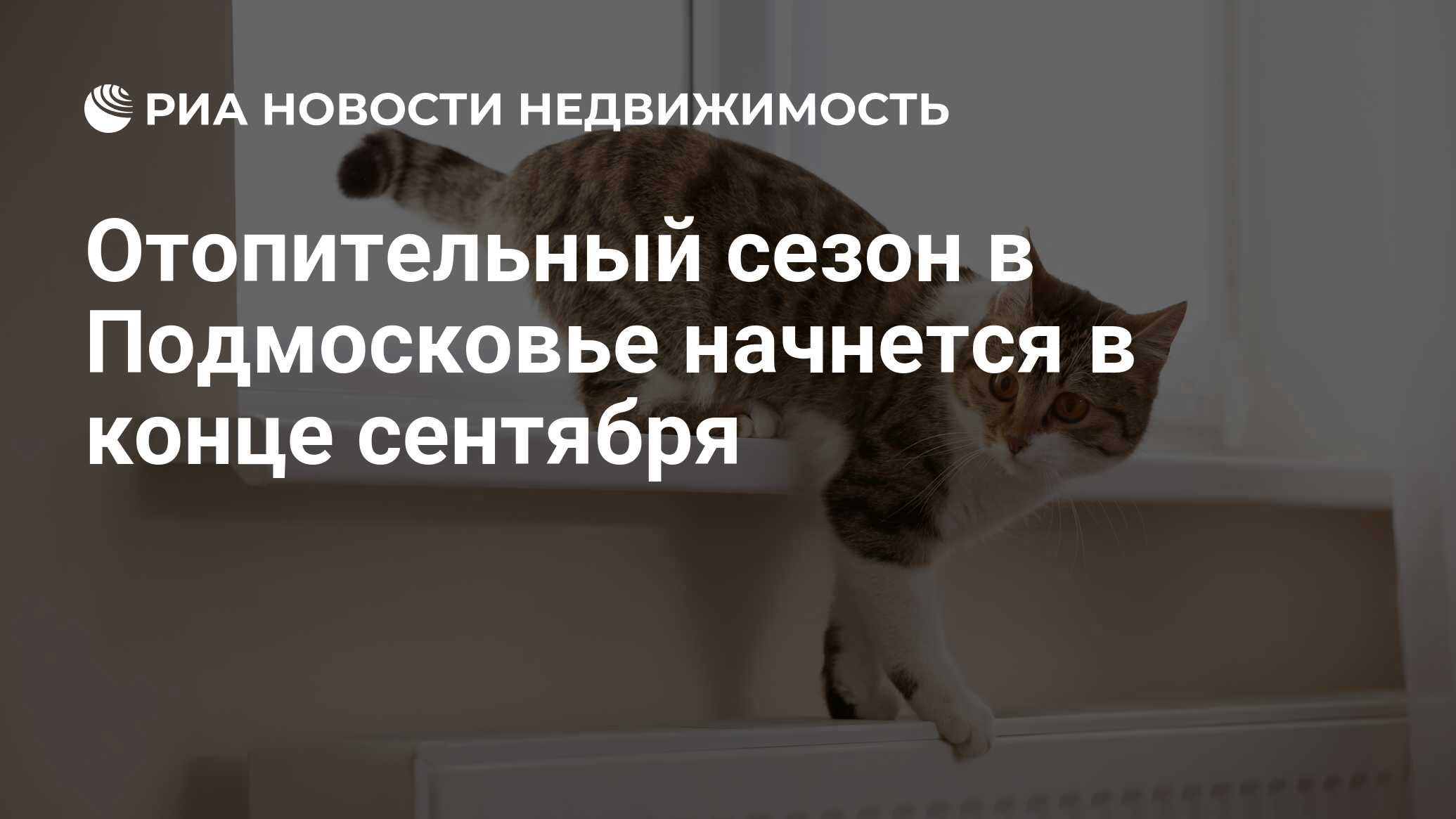 Давай начинай поднимать