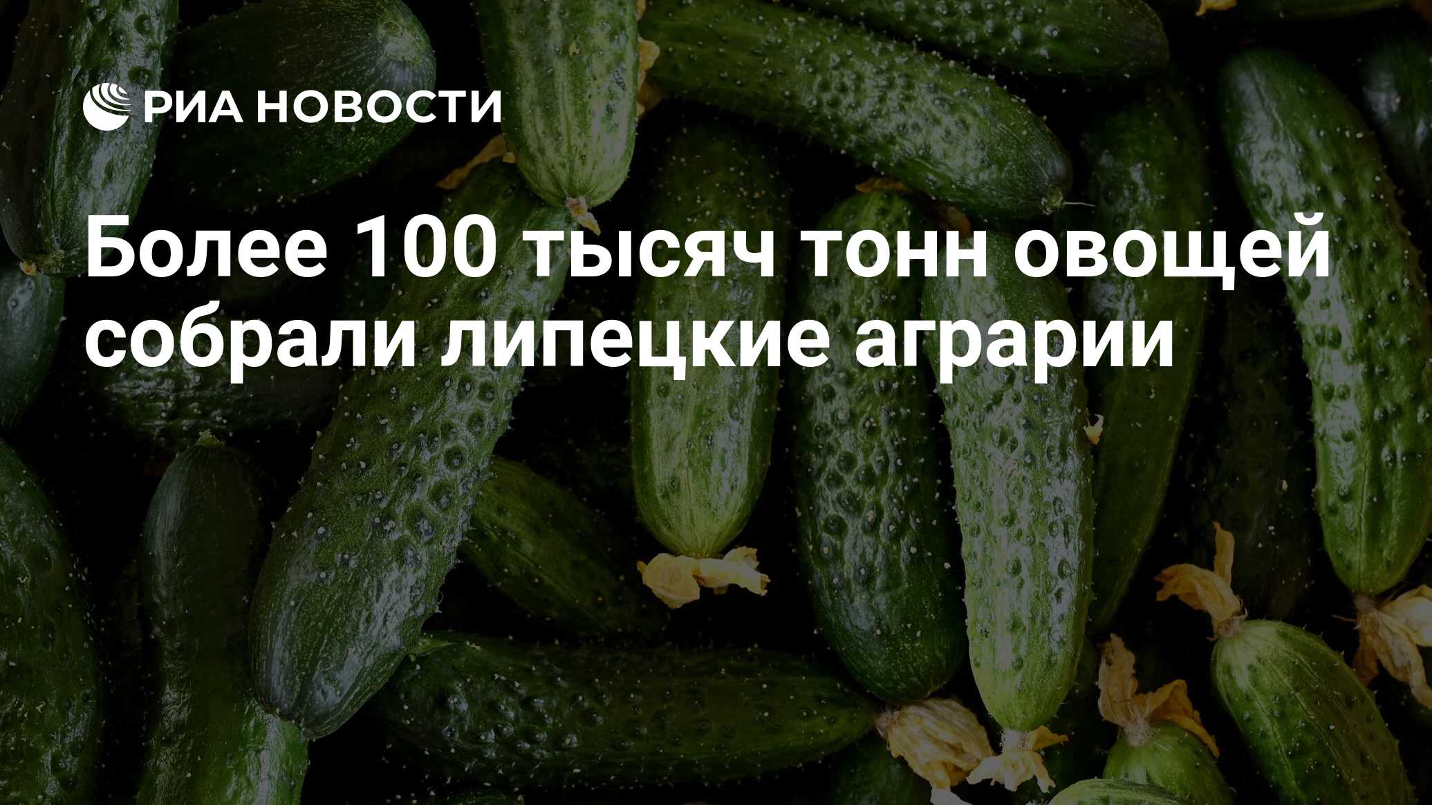 Задача 4200 тонны капусты. Собрали 364 тонны овощей. Собрали 364 тонны овощей. Собрали 364 тонны овощей. Сколько кг овощей продали за день.