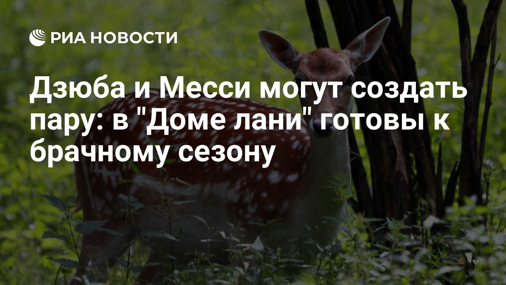 Дзюба и Месси могут создать пару: в 