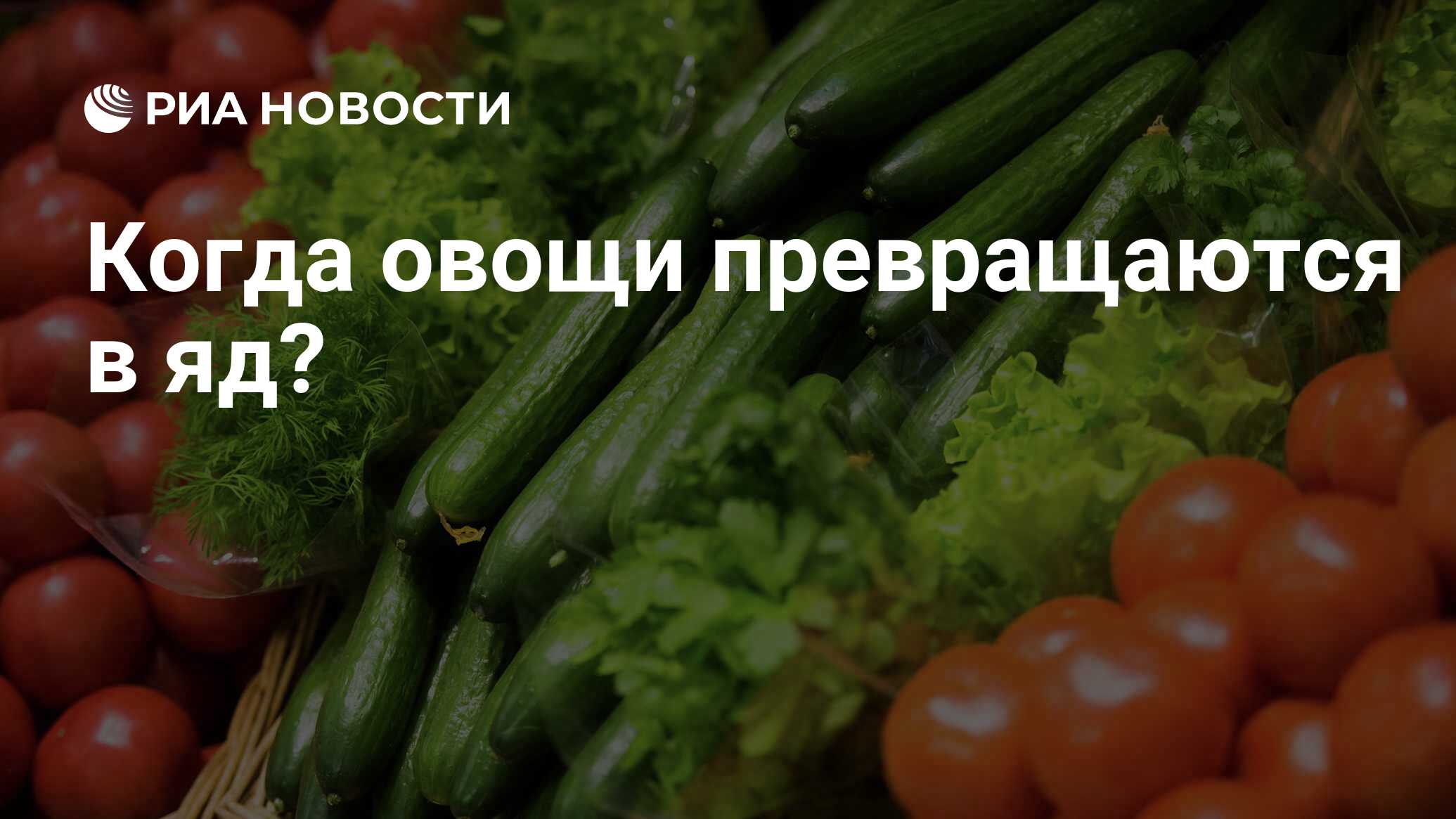 Превращаюсь в овощ. Превращаюсь в овощ