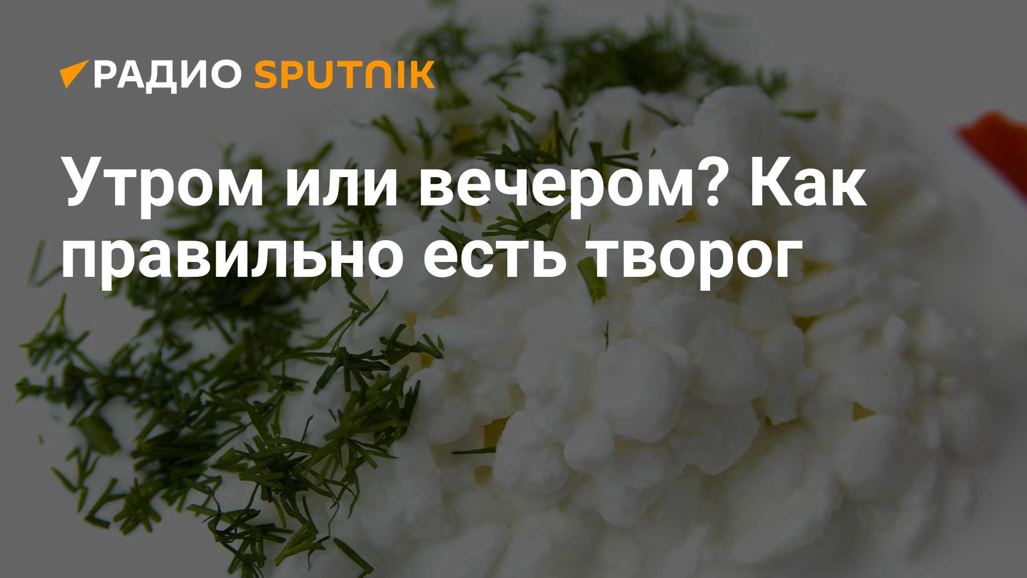 Правильное ударение в слове творог. Как правильно говорить творог или творог. Творог или творог ударение. Творог утром или вечером надо есть. Цитаты про творог и здоровье.