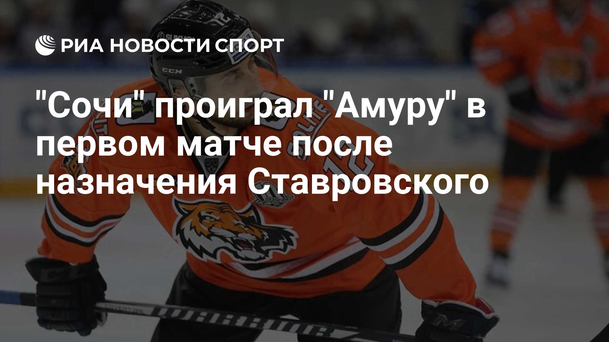 Сочи амур счет