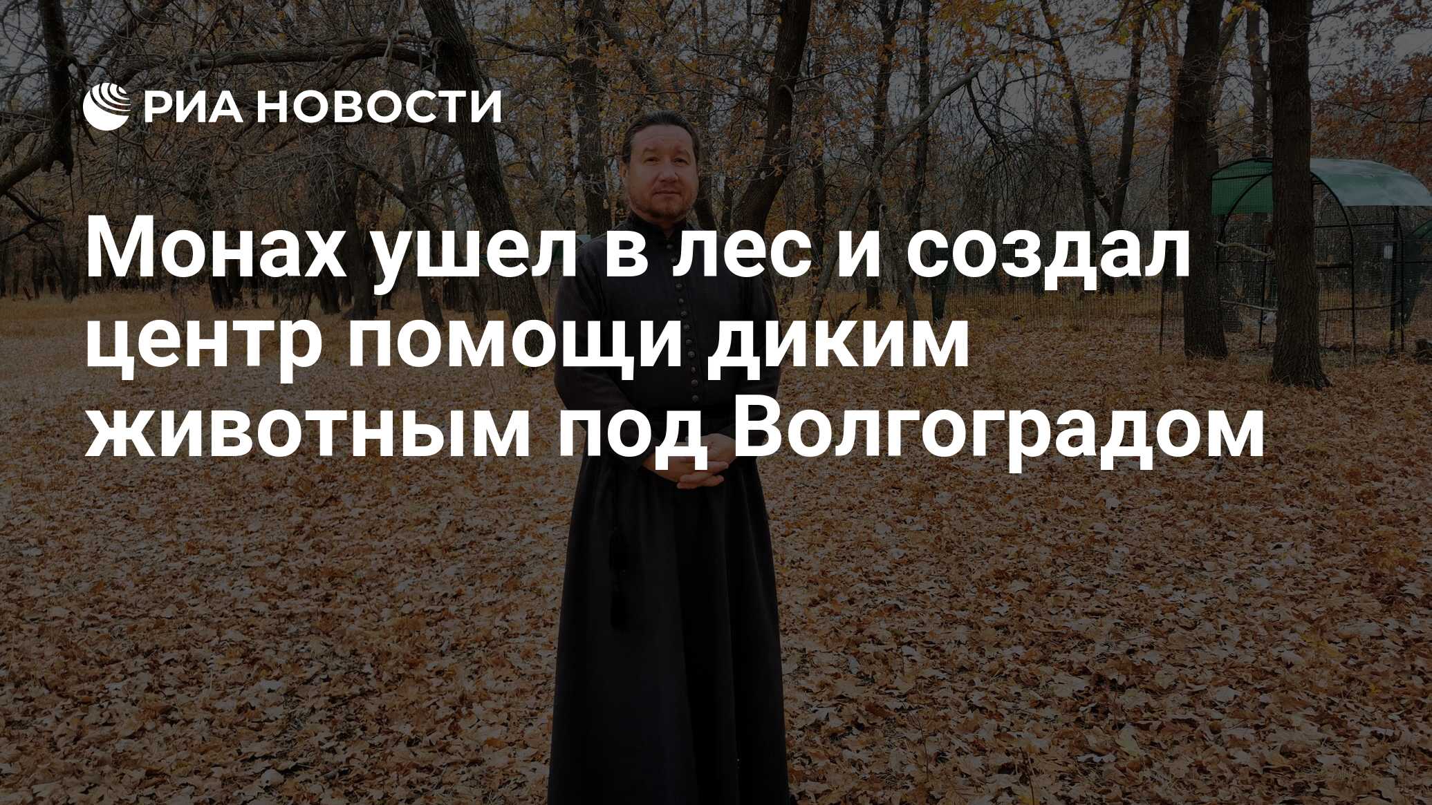 Монах ушел в лес и создал центр помощи диким животным под Волгоградом - РИА  Новости, 15.03.2021