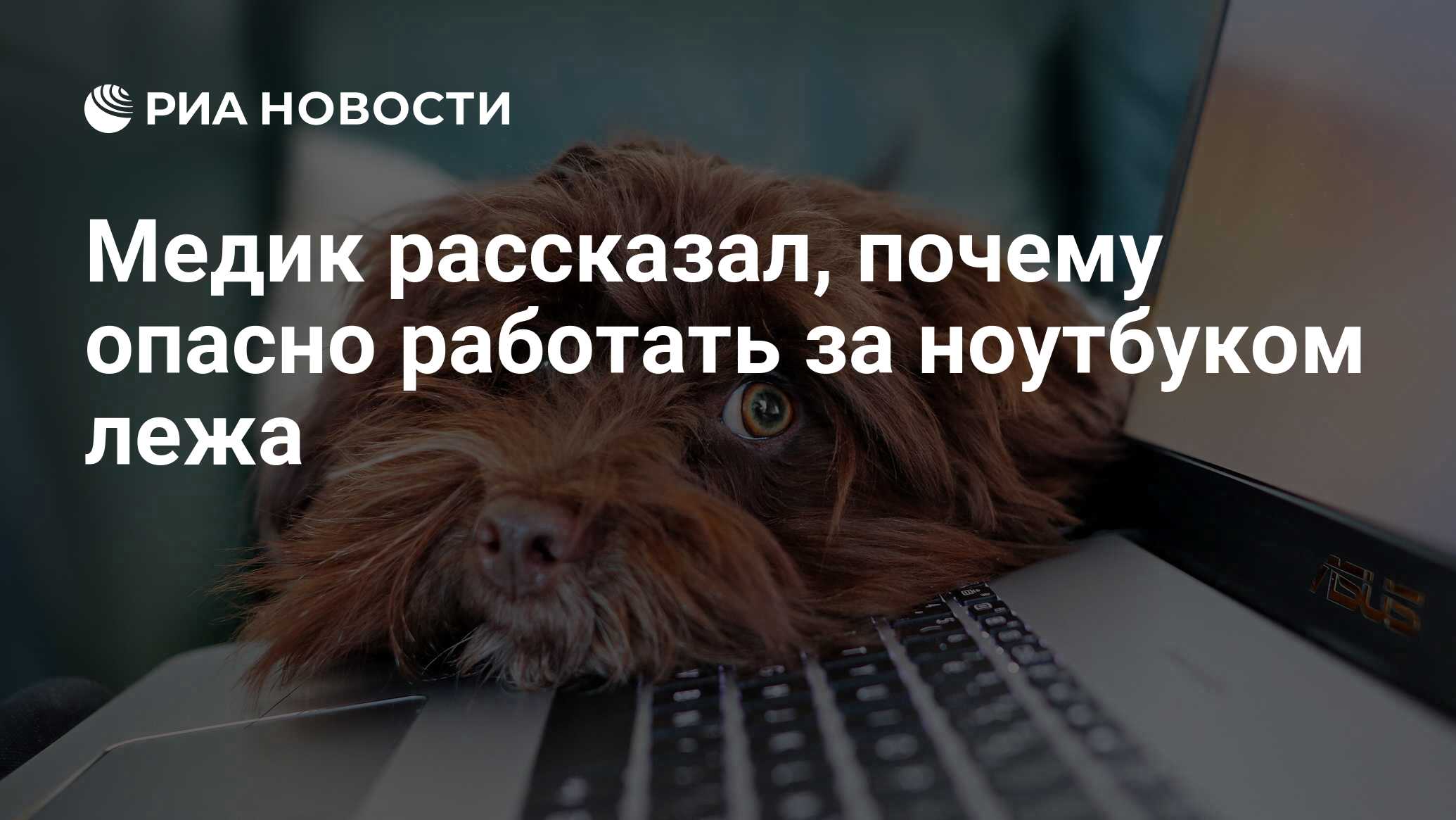 Медик рассказал, почему опасно работать за ноутбуком лежа - РИА Новости,  25.11.2020