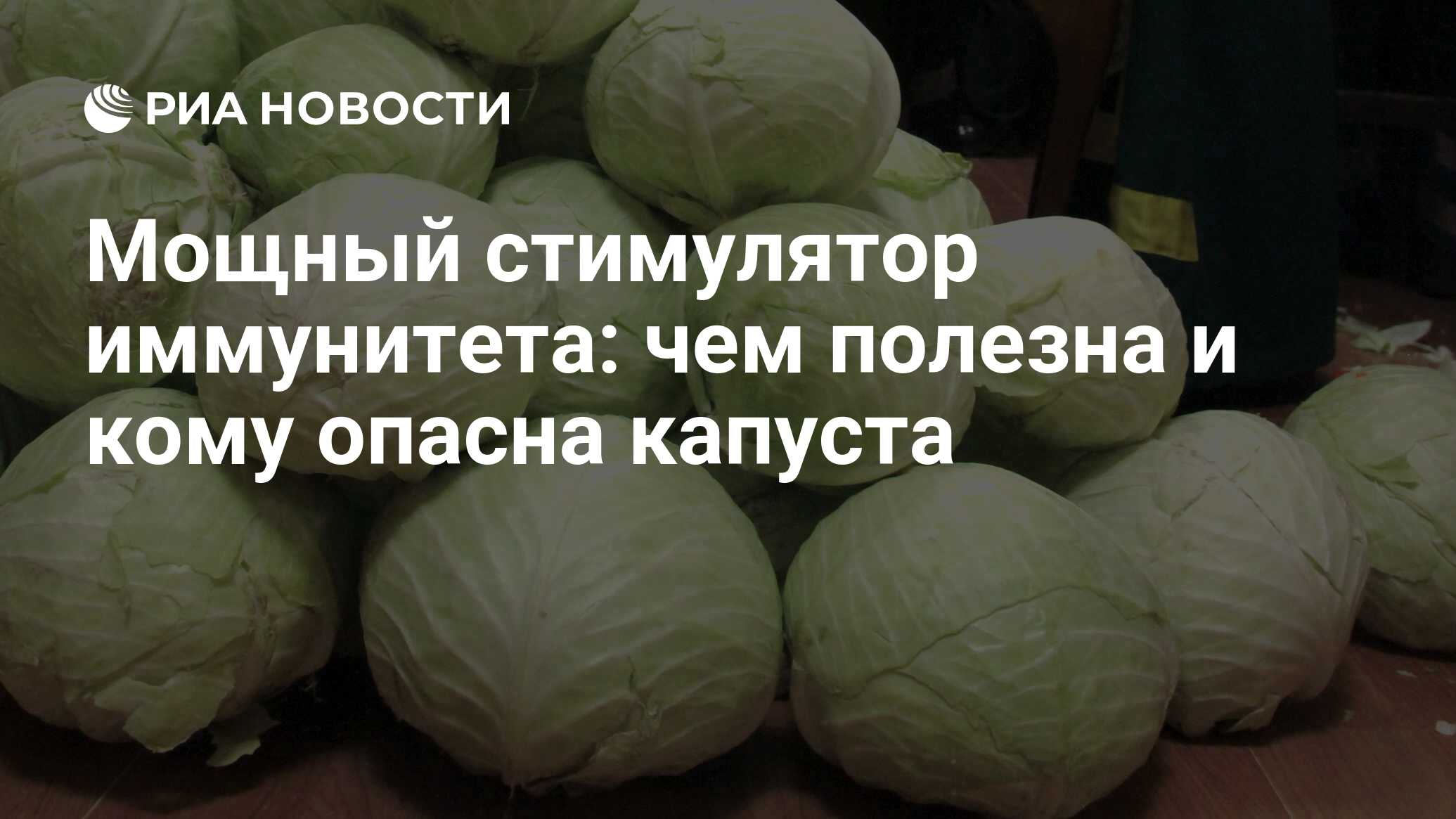 Дикси капуста. Капуста. Капуста свежая. Капуста вытянутая. Капуста витаминная.