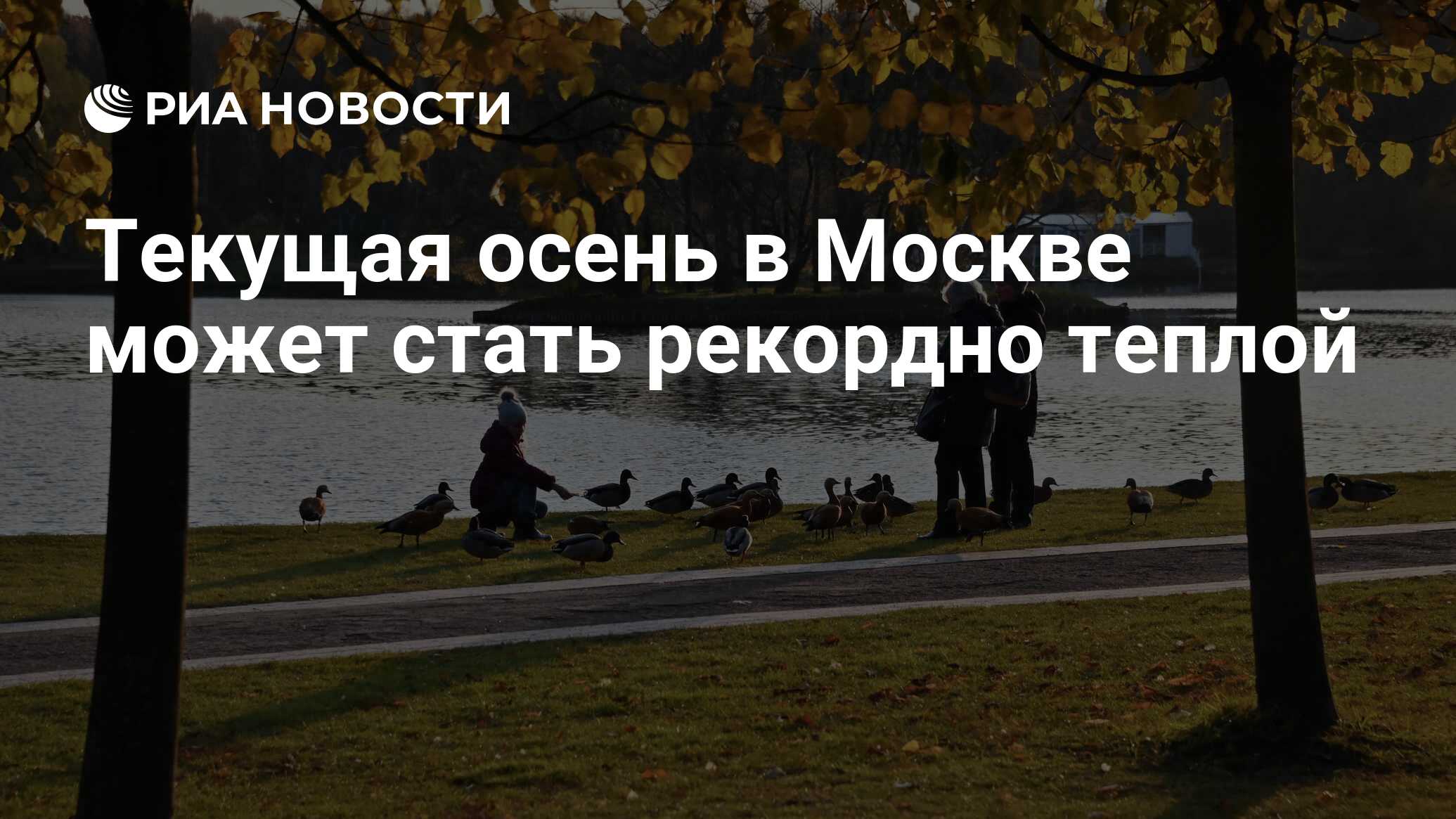 Осень предупреждала о своем приходе то. Осень предупреждала о своём приходе то. осень предупреждала о своём приходе невзначай забытыми. осенью тек.