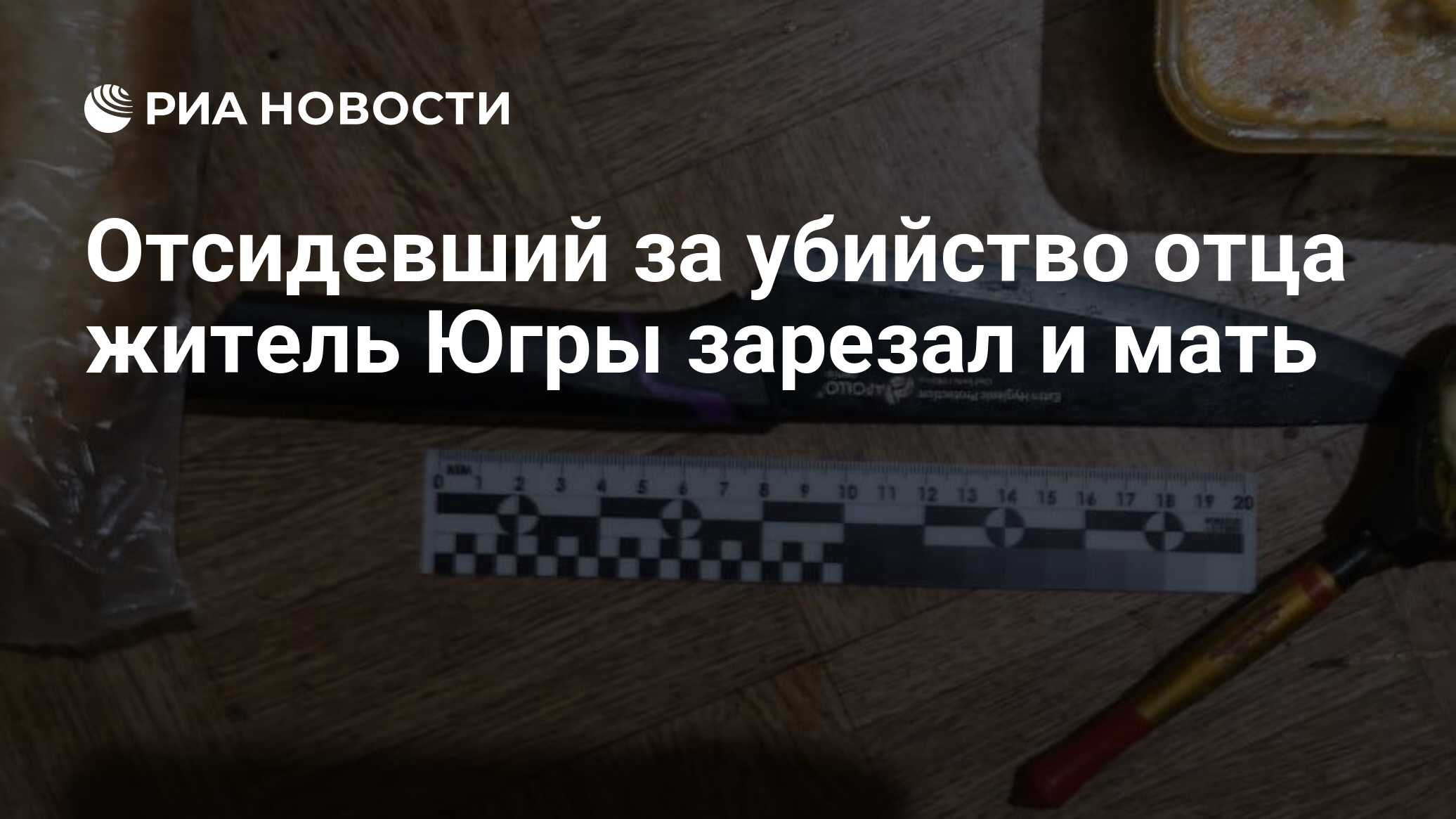 Отсидевший за убийство отца житель Югры зарезал и мать - РИА Новости,  18.12.2020