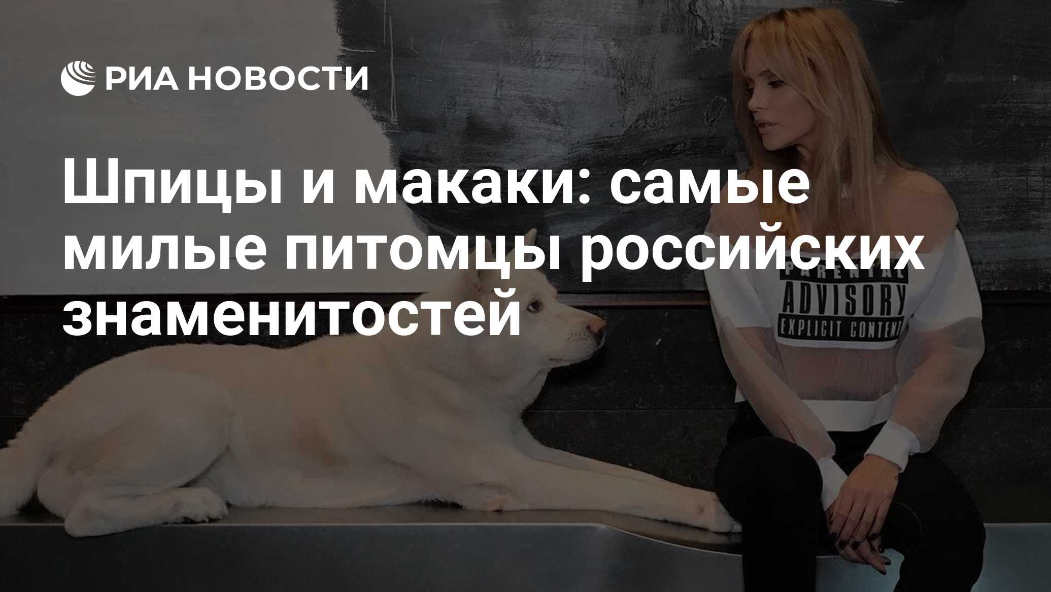 Шпицы и макаки: самые милые питомцы российских знаменитостей - РИА Новости,  14.01.2021