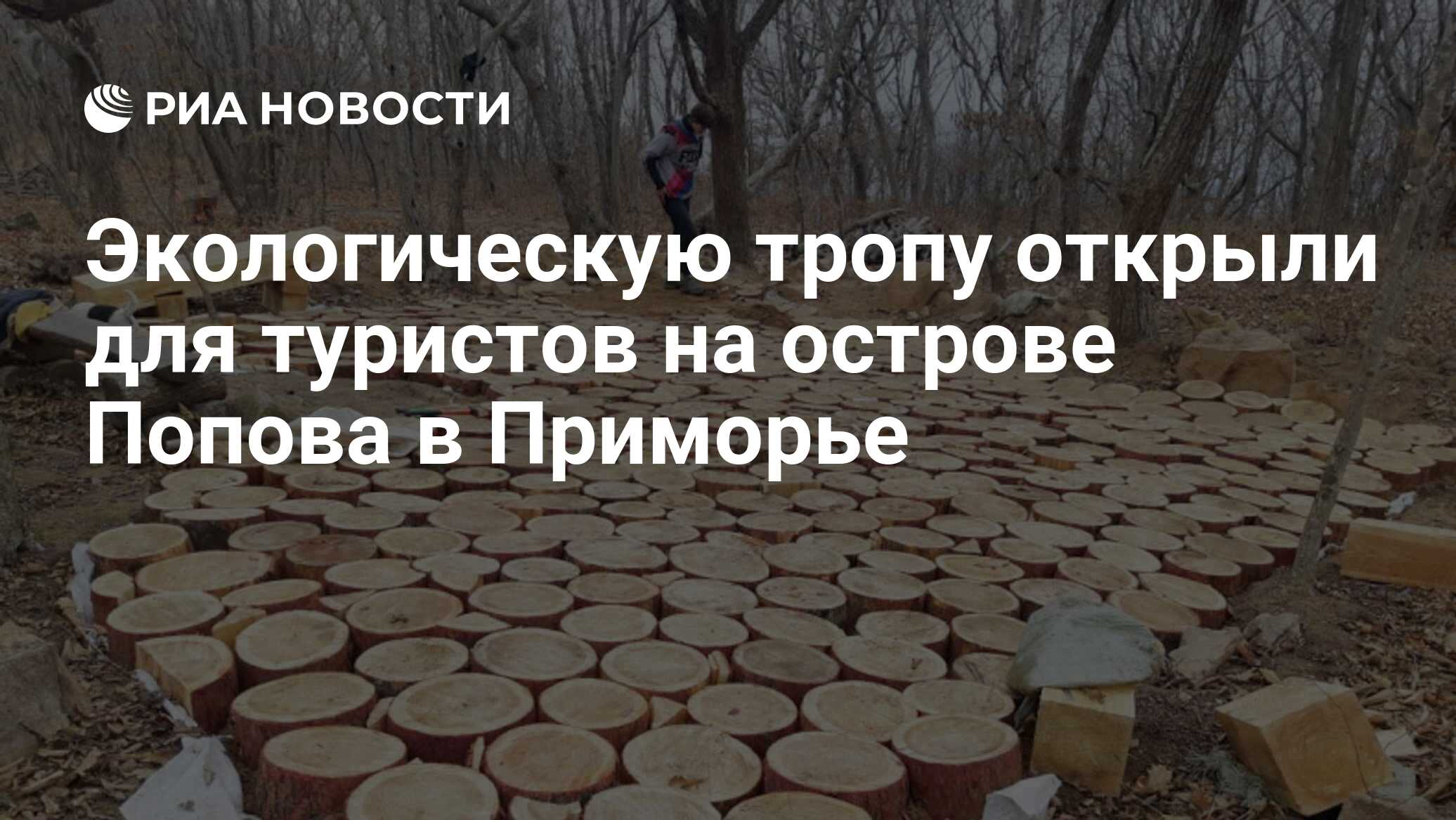 Экологическую тропу открыли для туристов на острове Попова в Приморье - РИА  Новости, 14.01.2021