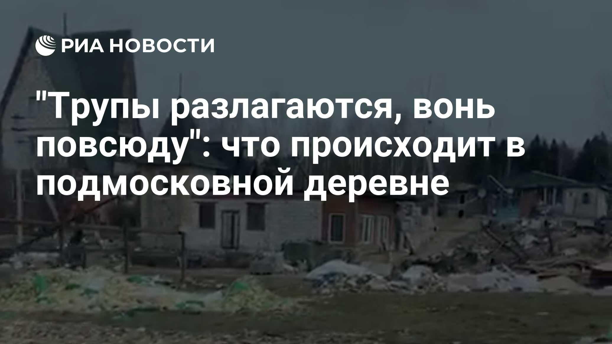 Трупы разлагаются, вонь повсюду