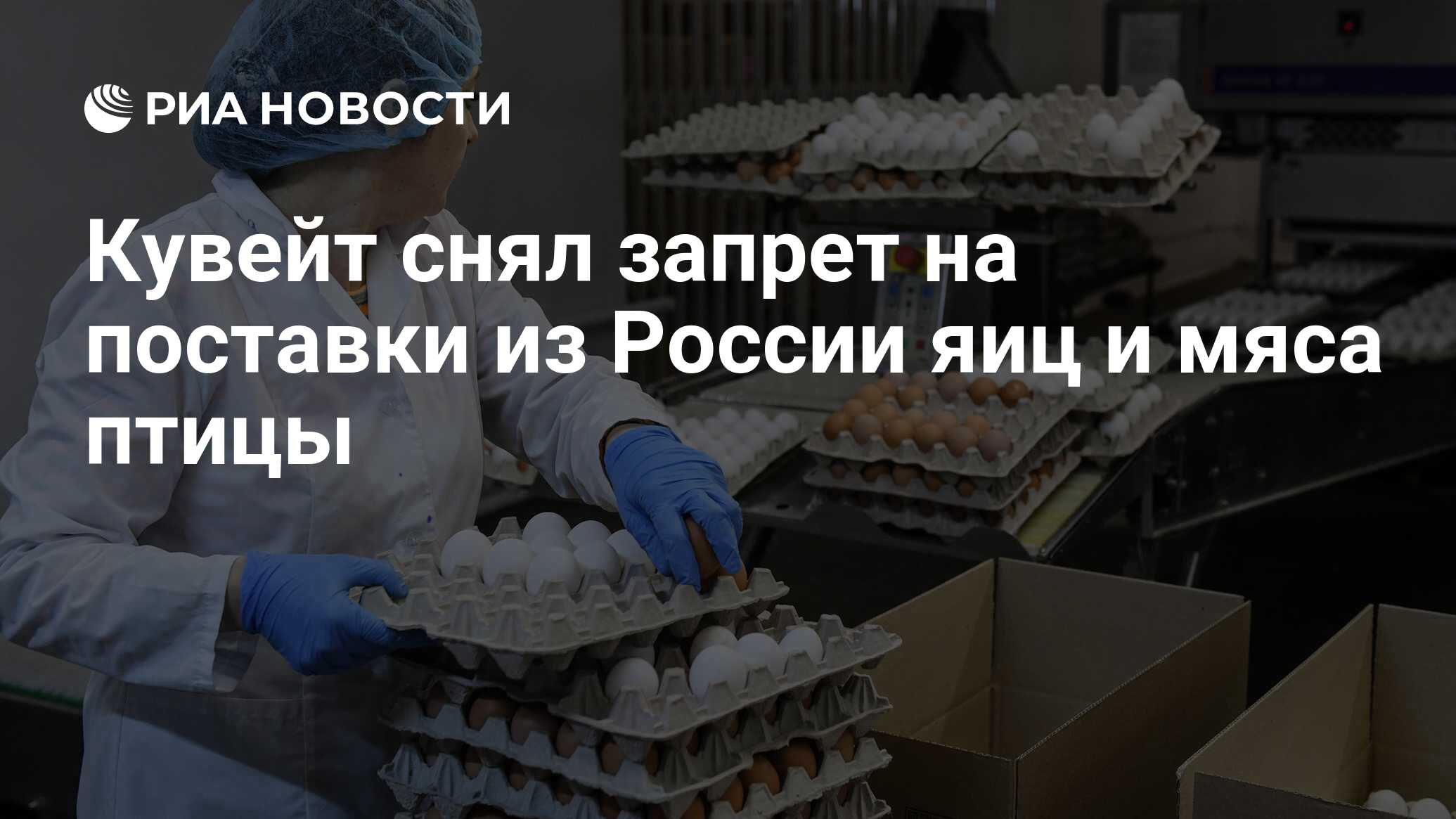 Кувейт снял запрет на поставки из России яиц и мяса птицы - РИА Новости .