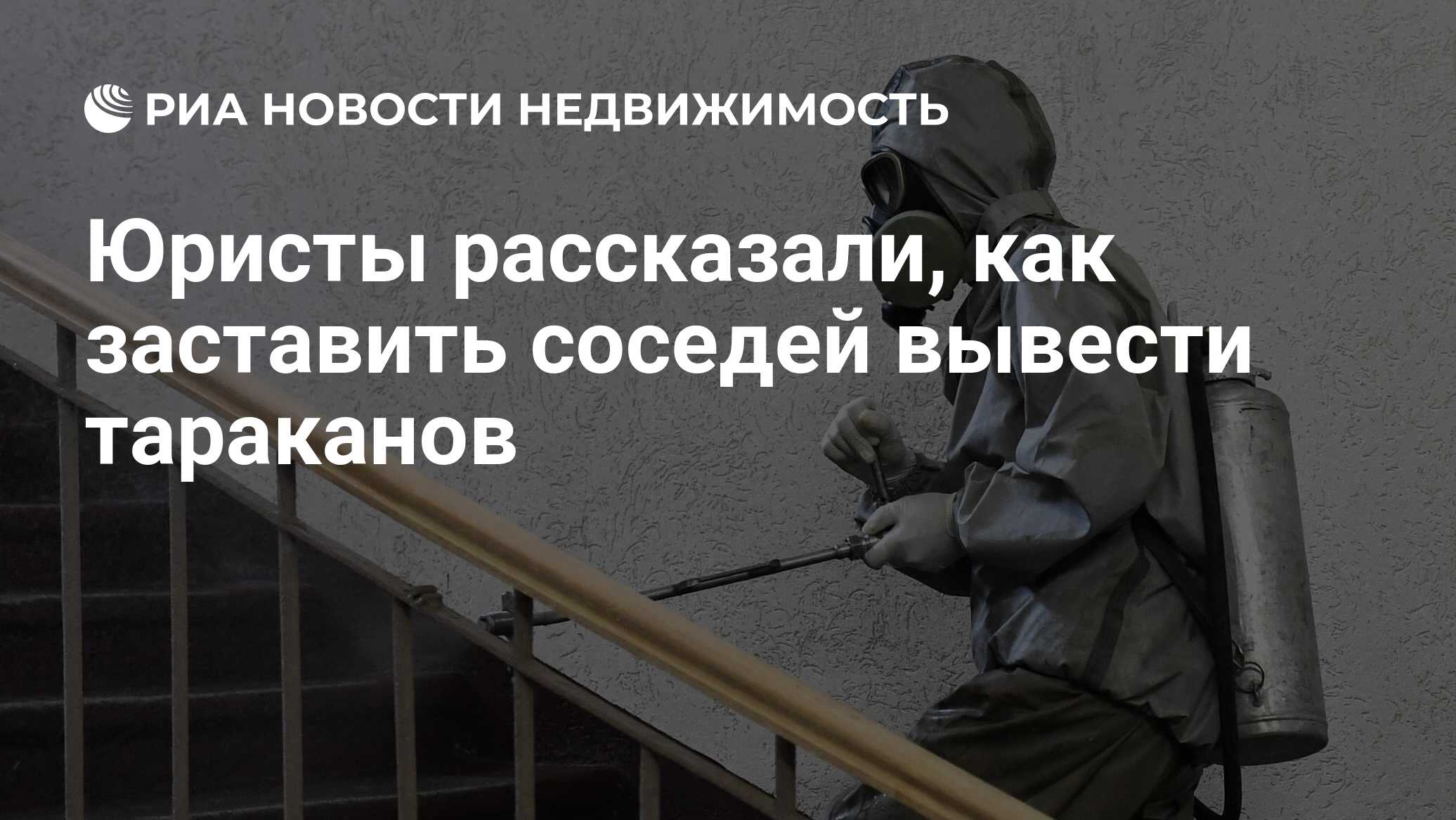 Юристы рассказали, как заставить соседей вывести тараканов - Недвижимость  РИА Новости, 05.02.2021