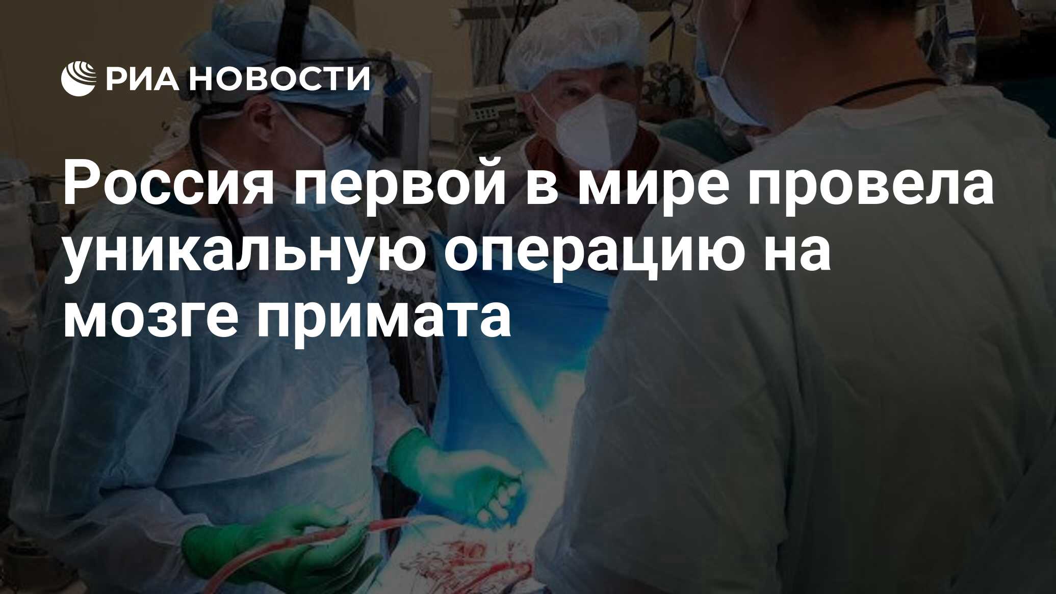 Россия первой в мире провела уникальную операцию на мозге примата - РИА  Новости, 09.02.2021