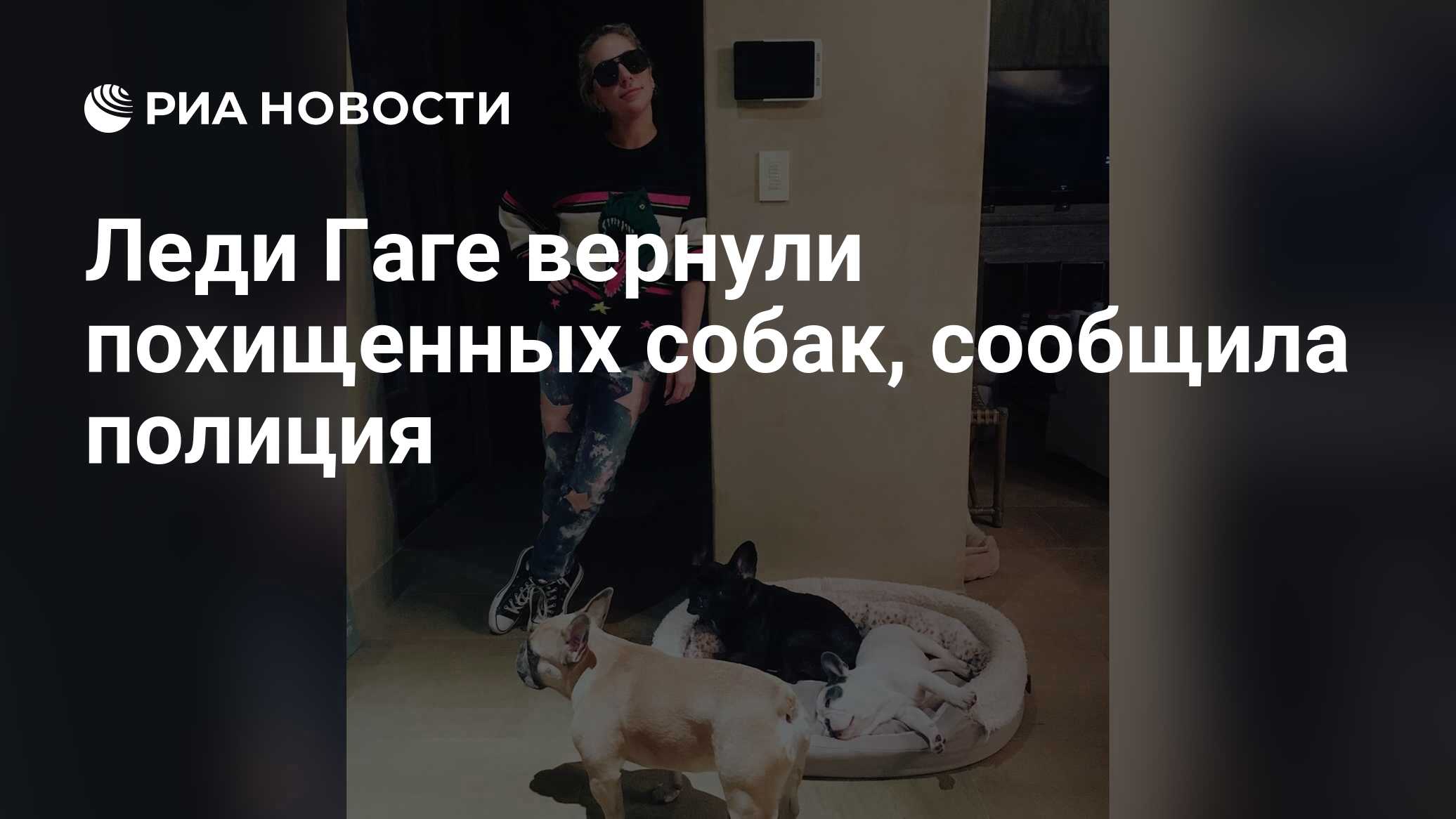 Леди Гаге вернули похищенных собак, сообщила полиция - РИА Новости, 27.