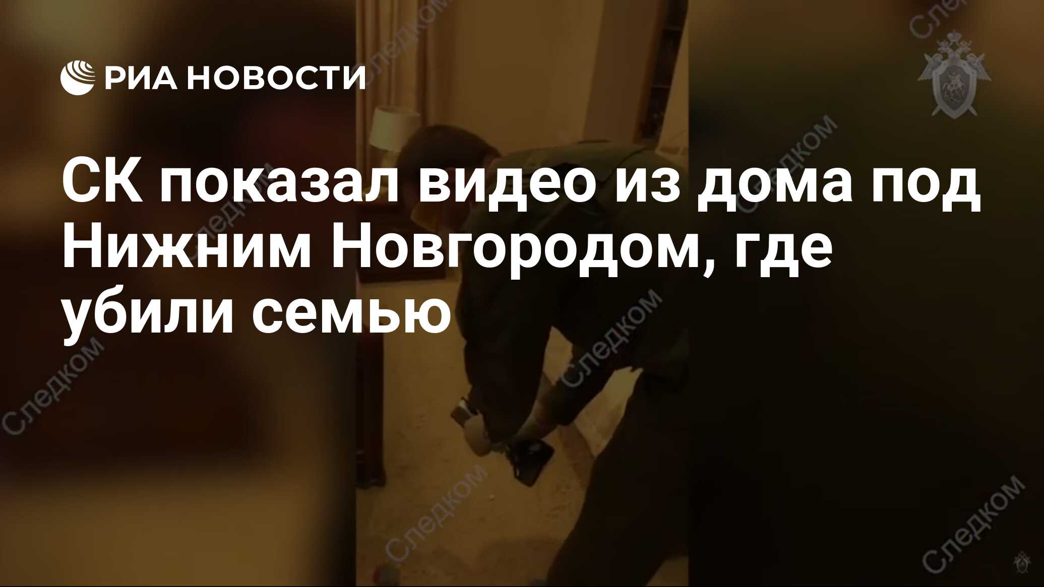 СК показал видео из дома под Нижним Новгородом, где убили семью - РИА  Новости, 01.03.2021